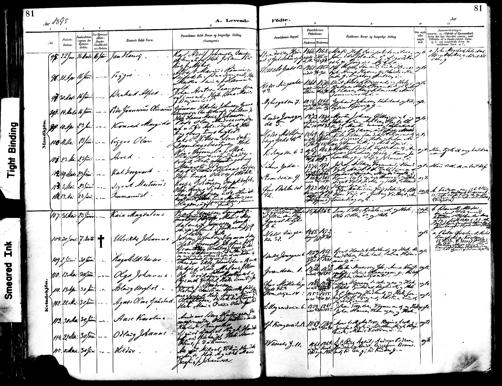Ministerialprotokoller, klokkerbøker og fødselsregistre - Sør-Trøndelag, SAT/A-1456/604/L0197: Parish register (official) no. 604A18, 1893-1900, p. 81