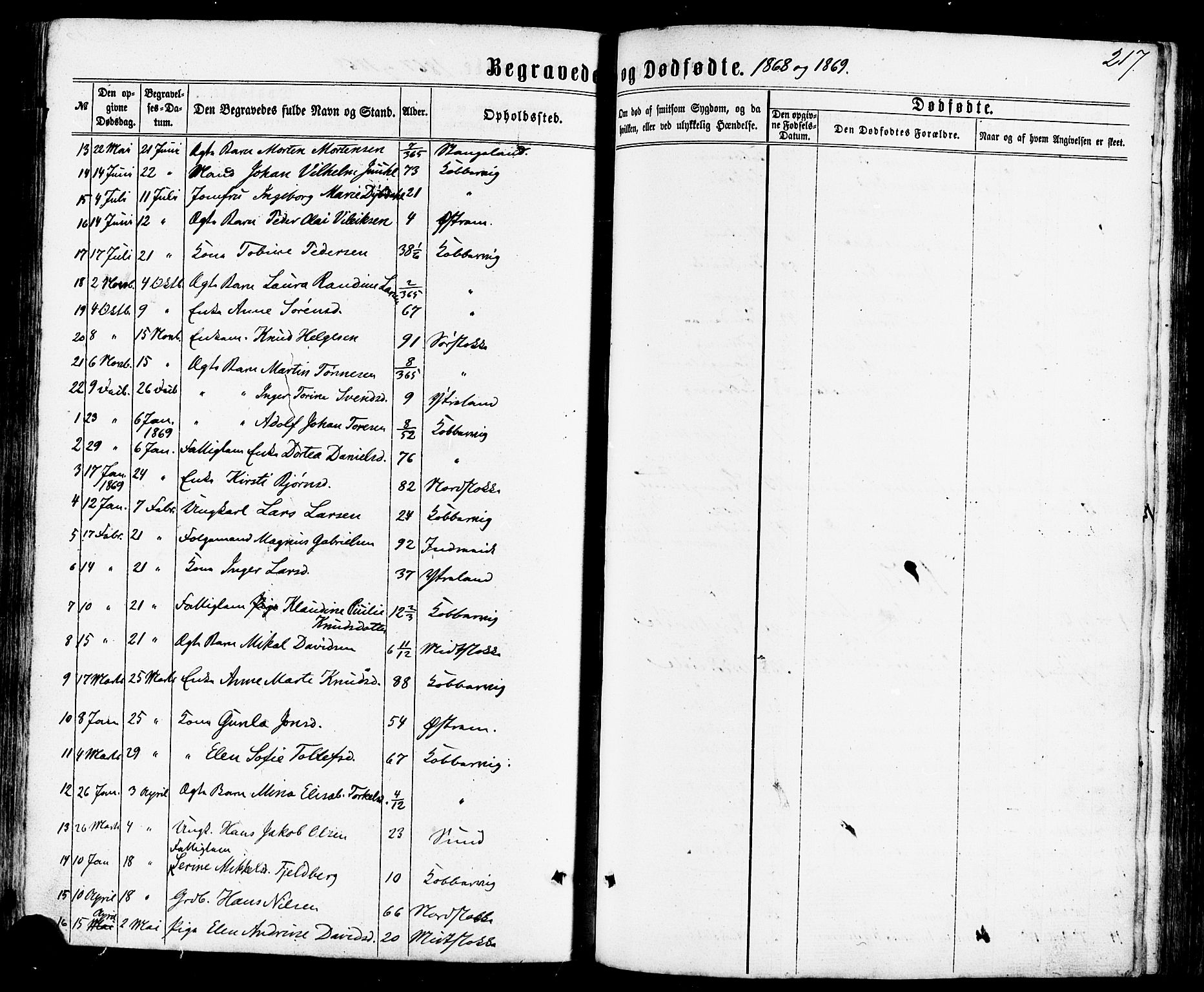 Avaldsnes sokneprestkontor, SAST/A -101851/H/Ha/Haa/L0011: Parish register (official) no. A 11, 1861-1880, p. 217