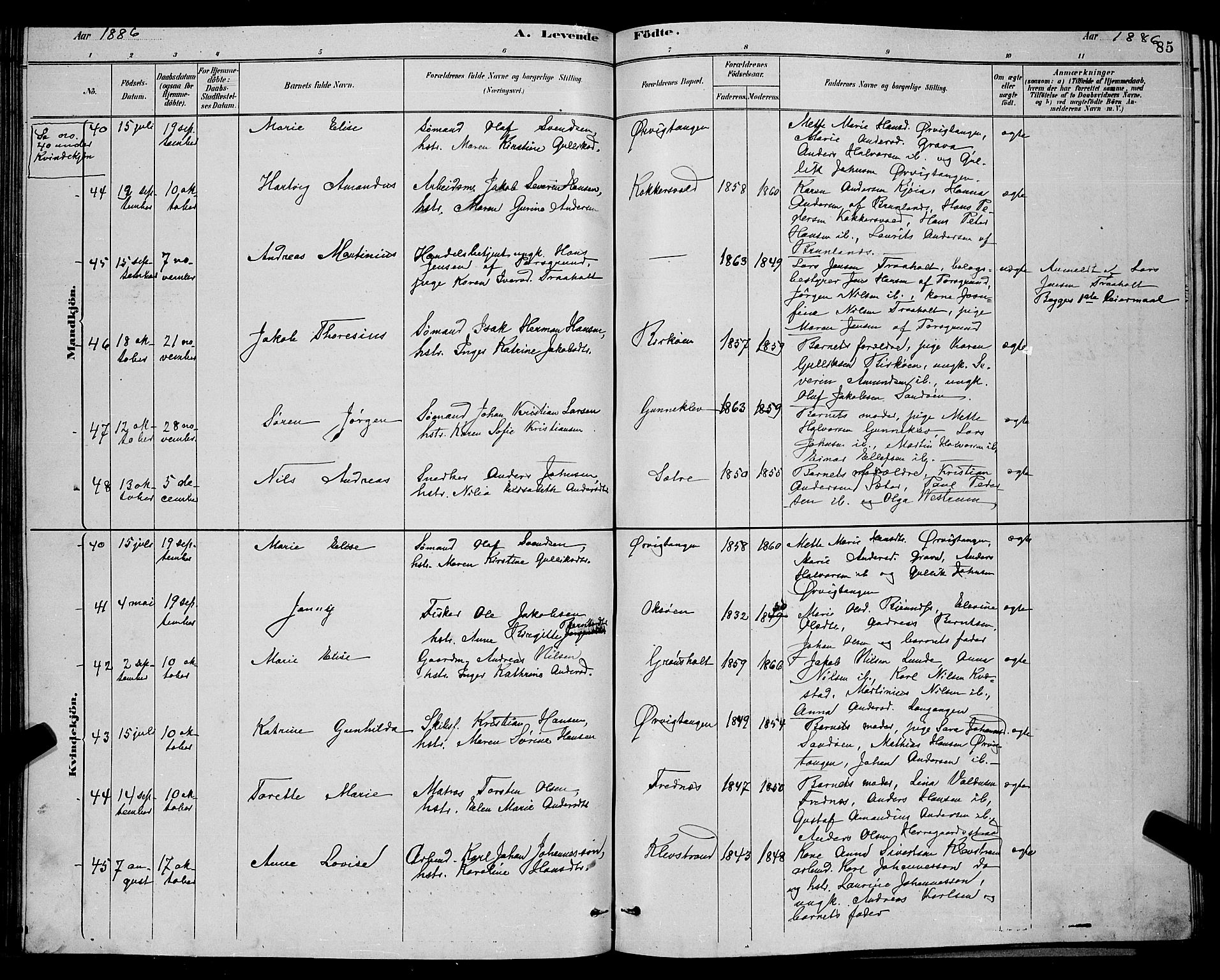 Eidanger kirkebøker, AV/SAKO-A-261/G/Ga/L0002: Parish register (copy) no. 2, 1879-1892, p. 85