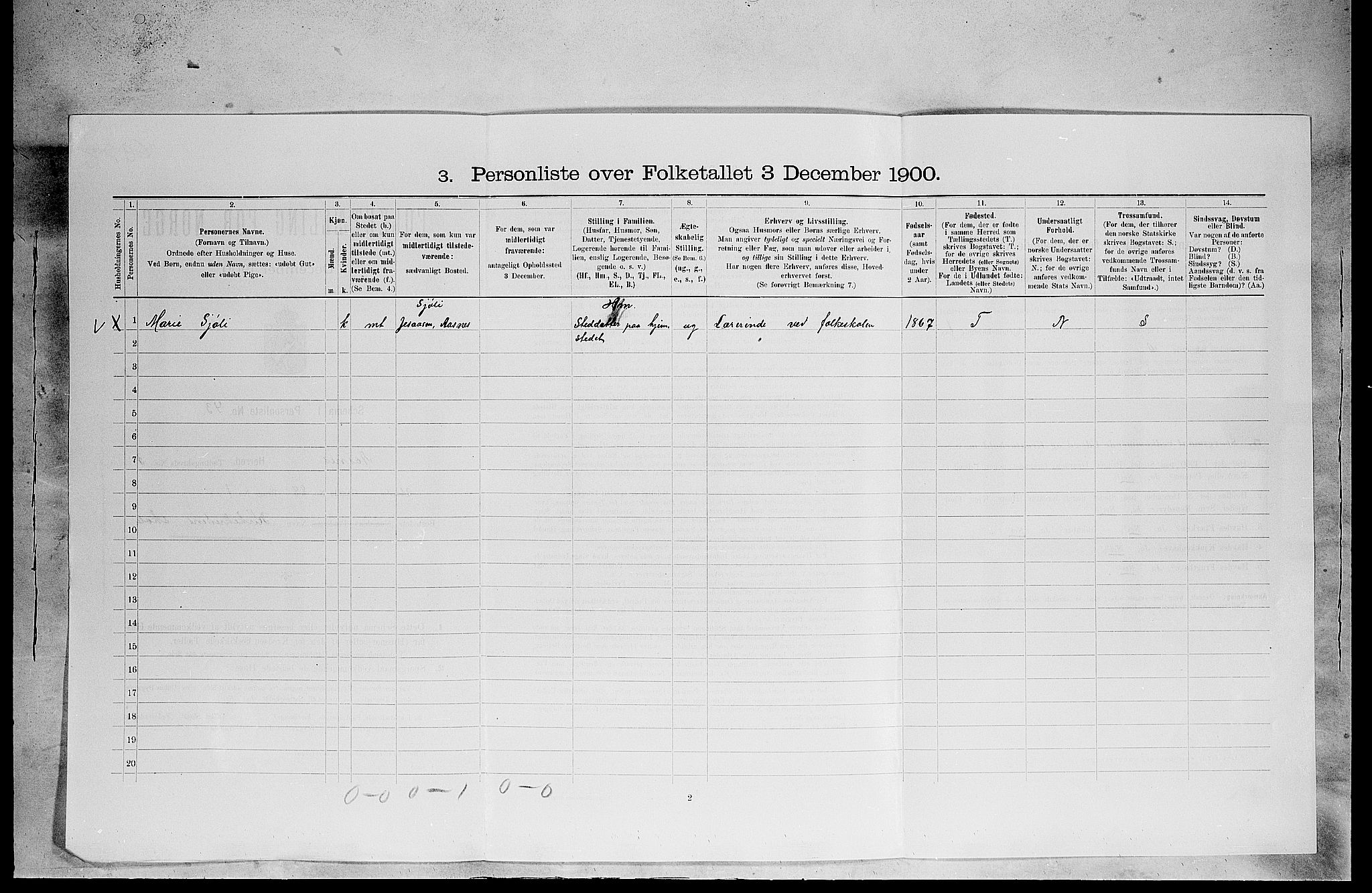 SAH, 1900 census for Åsnes, 1900, p. 505