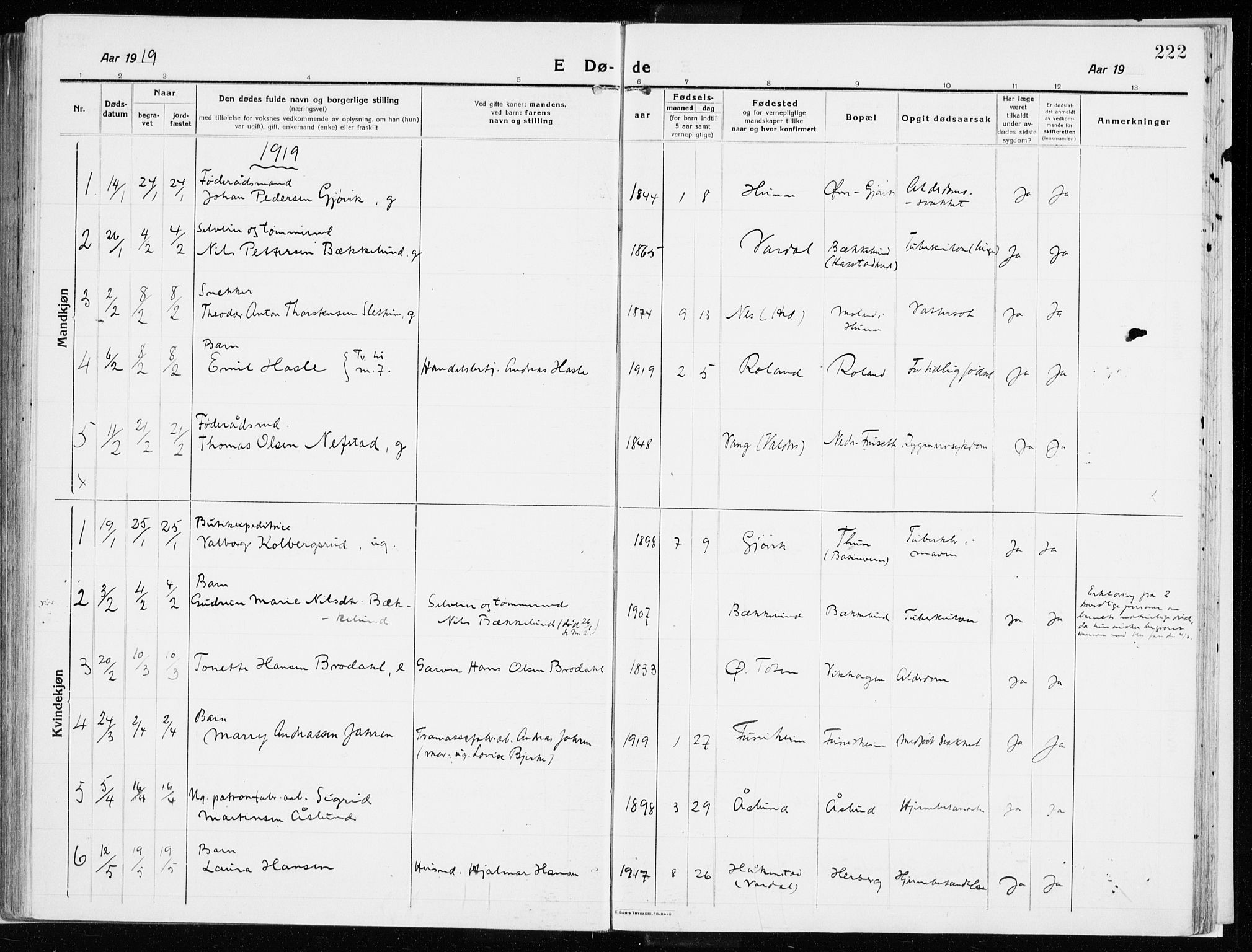 Vardal prestekontor, SAH/PREST-100/H/Ha/Haa/L0017: Parish register (official) no. 17, 1915-1929, p. 222