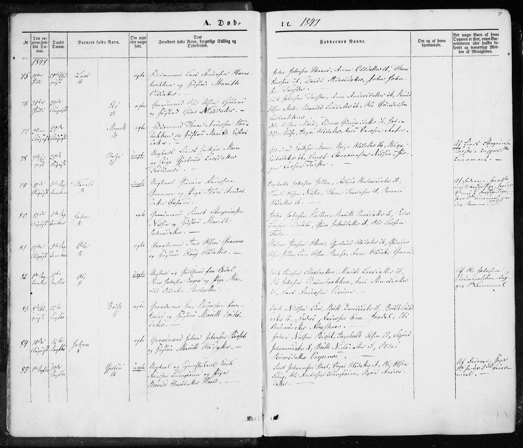 Ministerialprotokoller, klokkerbøker og fødselsregistre - Møre og Romsdal, AV/SAT-A-1454/590/L1013: Parish register (official) no. 590A05, 1847-1877, p. 7