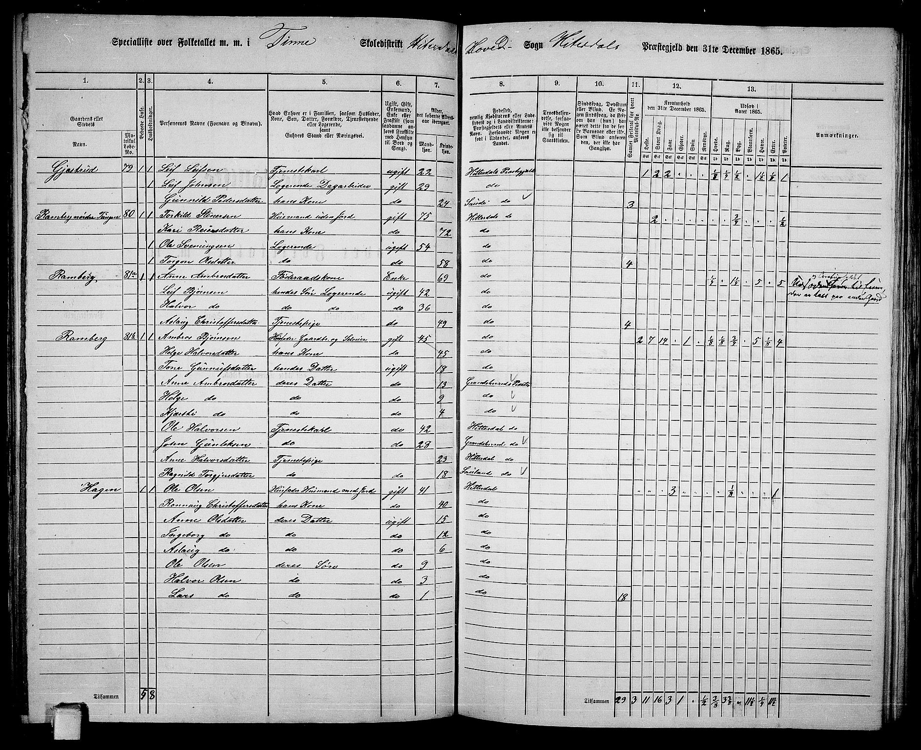 RA, 1865 census for Heddal, 1865, p. 80