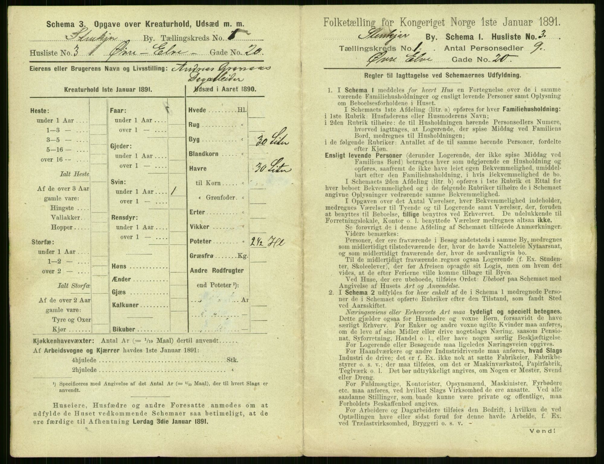 RA, 1891 census for 1702 Steinkjer, 1891, p. 24