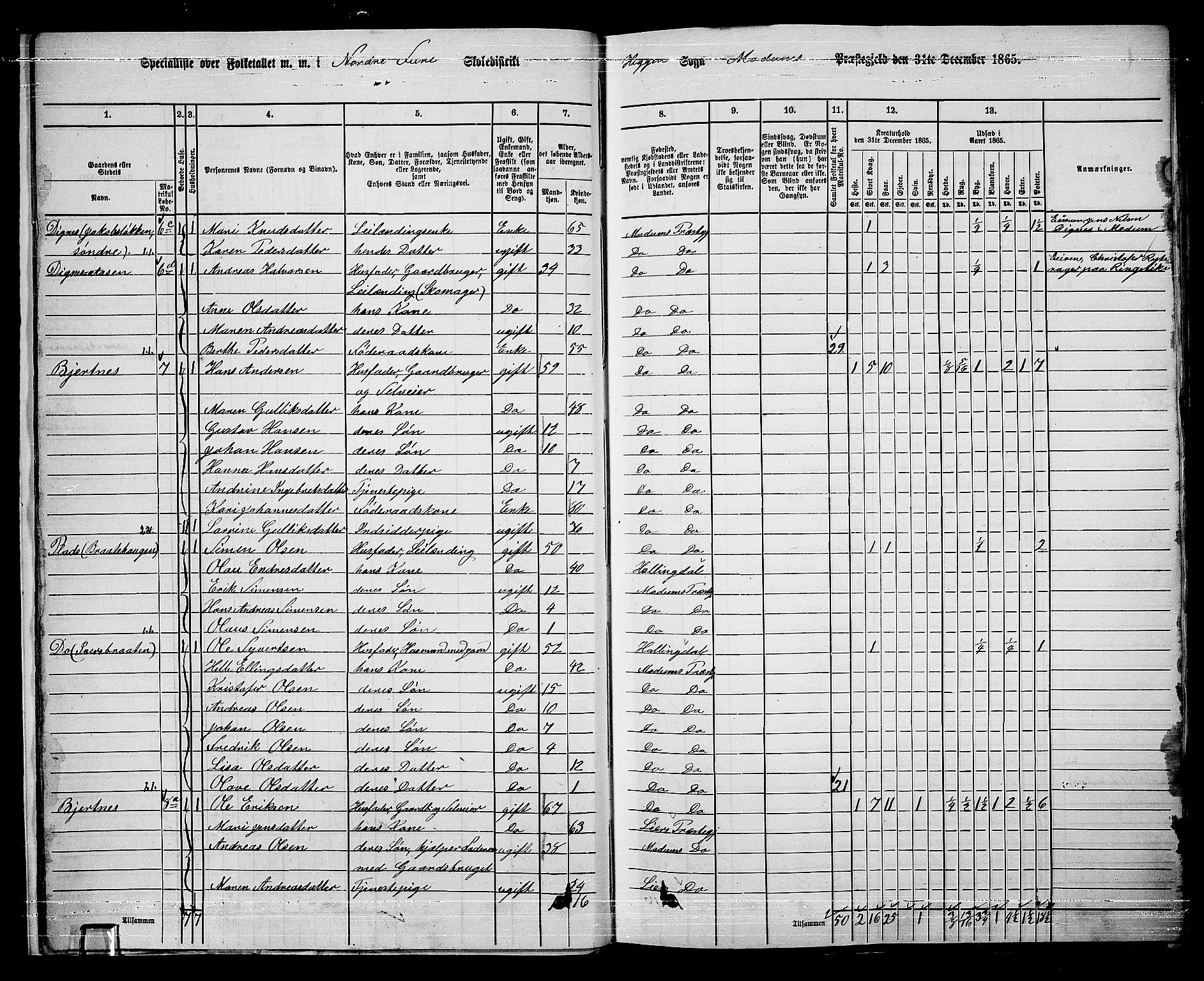 RA, 1865 census for Modum, 1865, p. 23