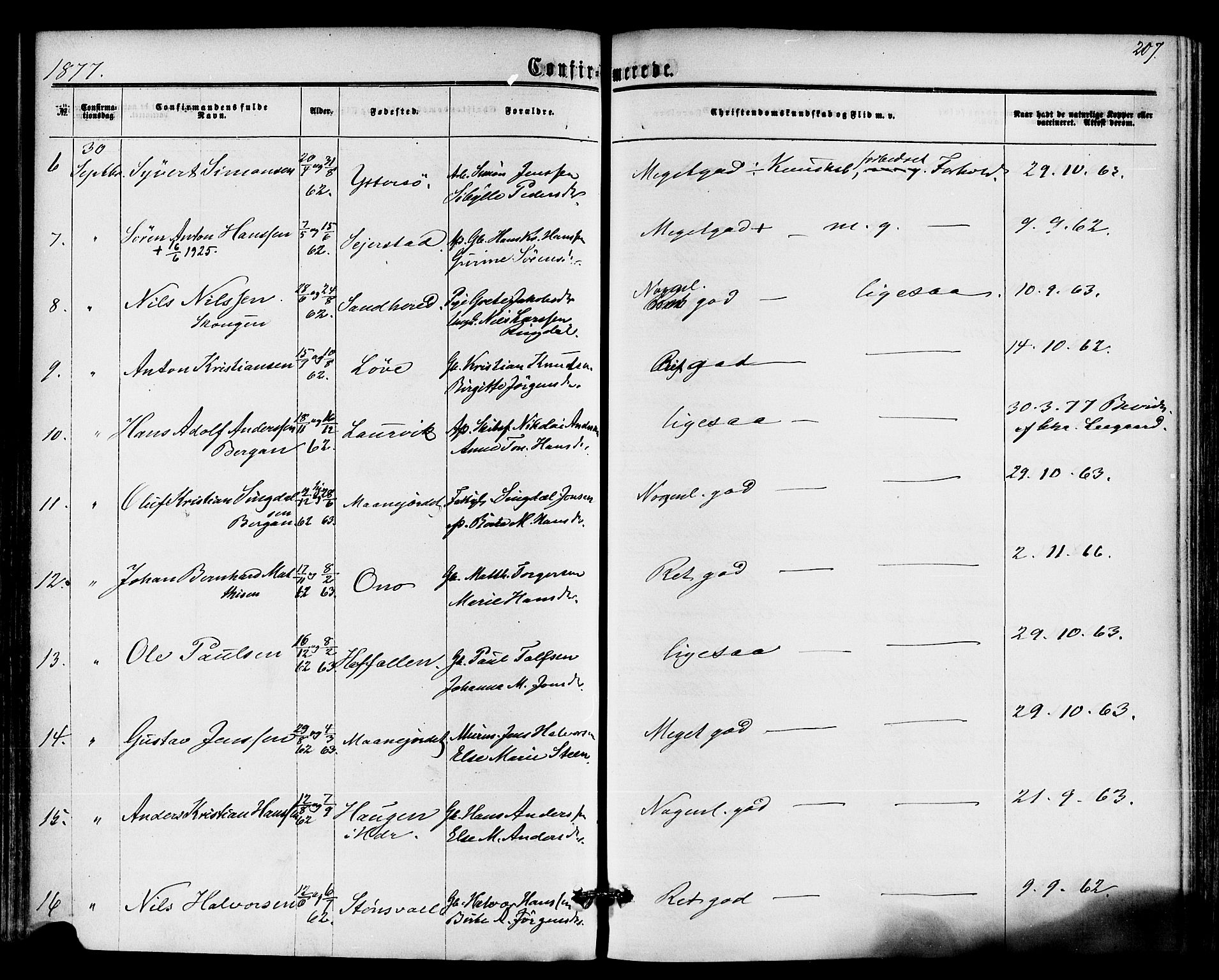 Hedrum kirkebøker, AV/SAKO-A-344/F/Fa/L0008: Parish register (official) no. I 8, 1869-1880, p. 207