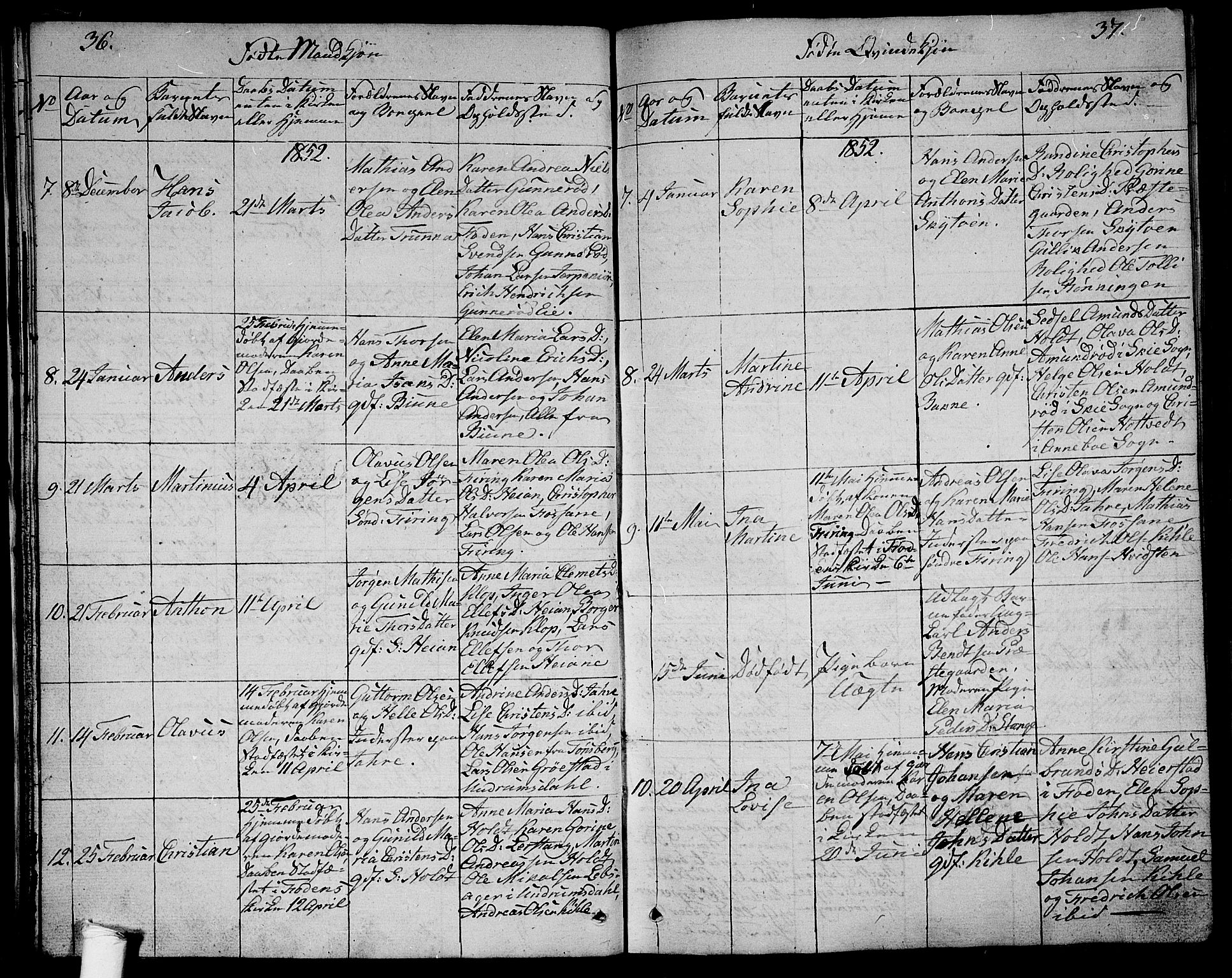 Ramnes kirkebøker, AV/SAKO-A-314/G/Ga/L0002: Parish register (copy) no. I 2, 1848-1870, p. 36-37