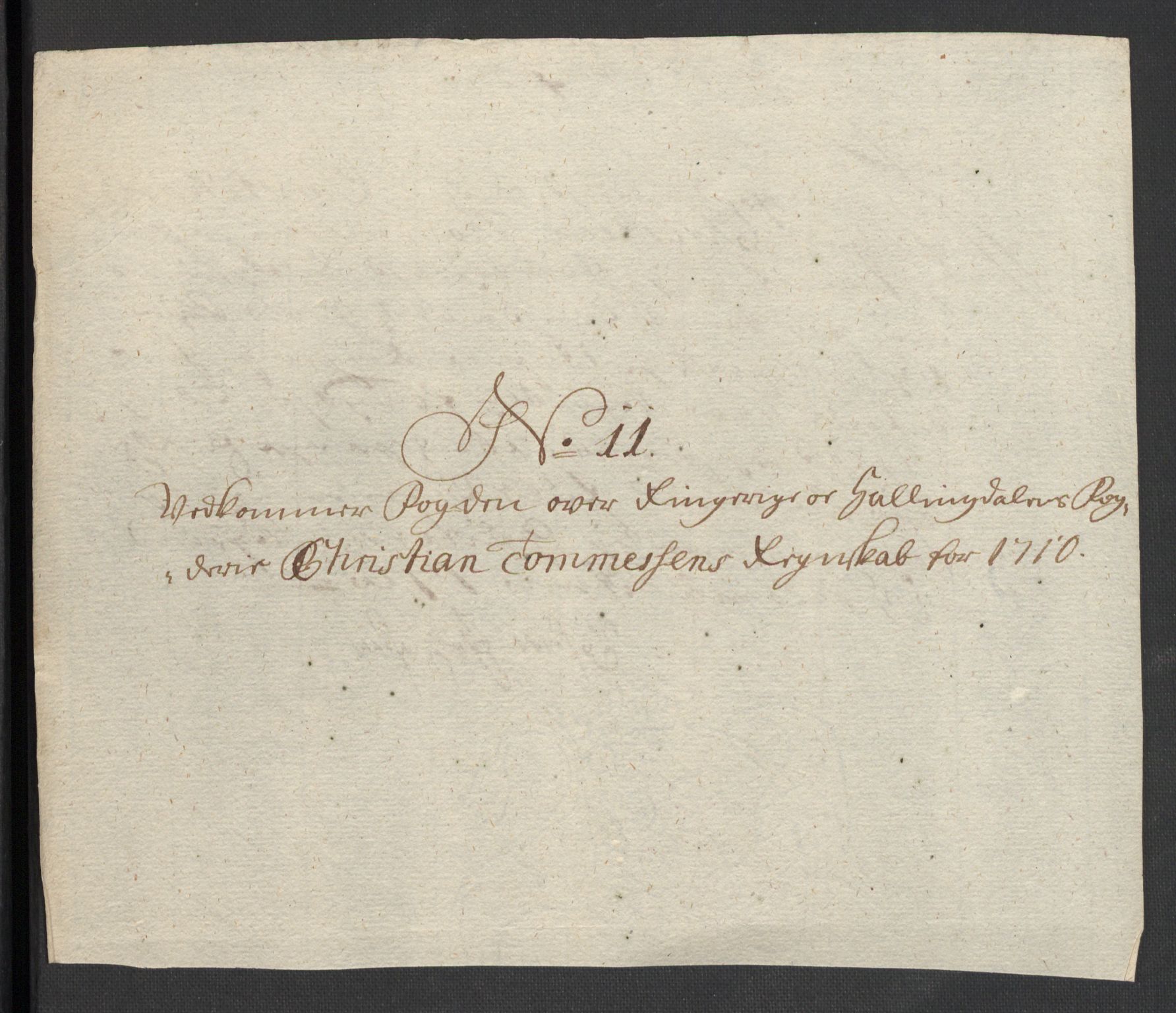 Rentekammeret inntil 1814, Reviderte regnskaper, Fogderegnskap, AV/RA-EA-4092/R23/L1468: Fogderegnskap Ringerike og Hallingdal, 1709-1710, p. 425