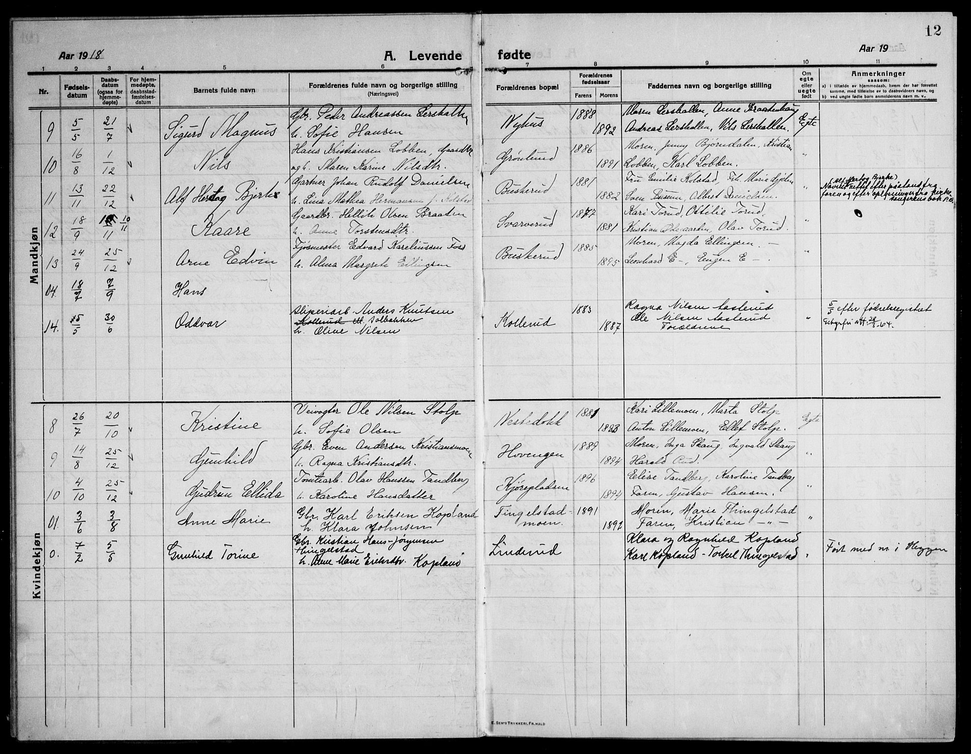 Modum kirkebøker, AV/SAKO-A-234/F/Fa/L0018: Parish register (official) no. 18, 1912-1924, p. 12