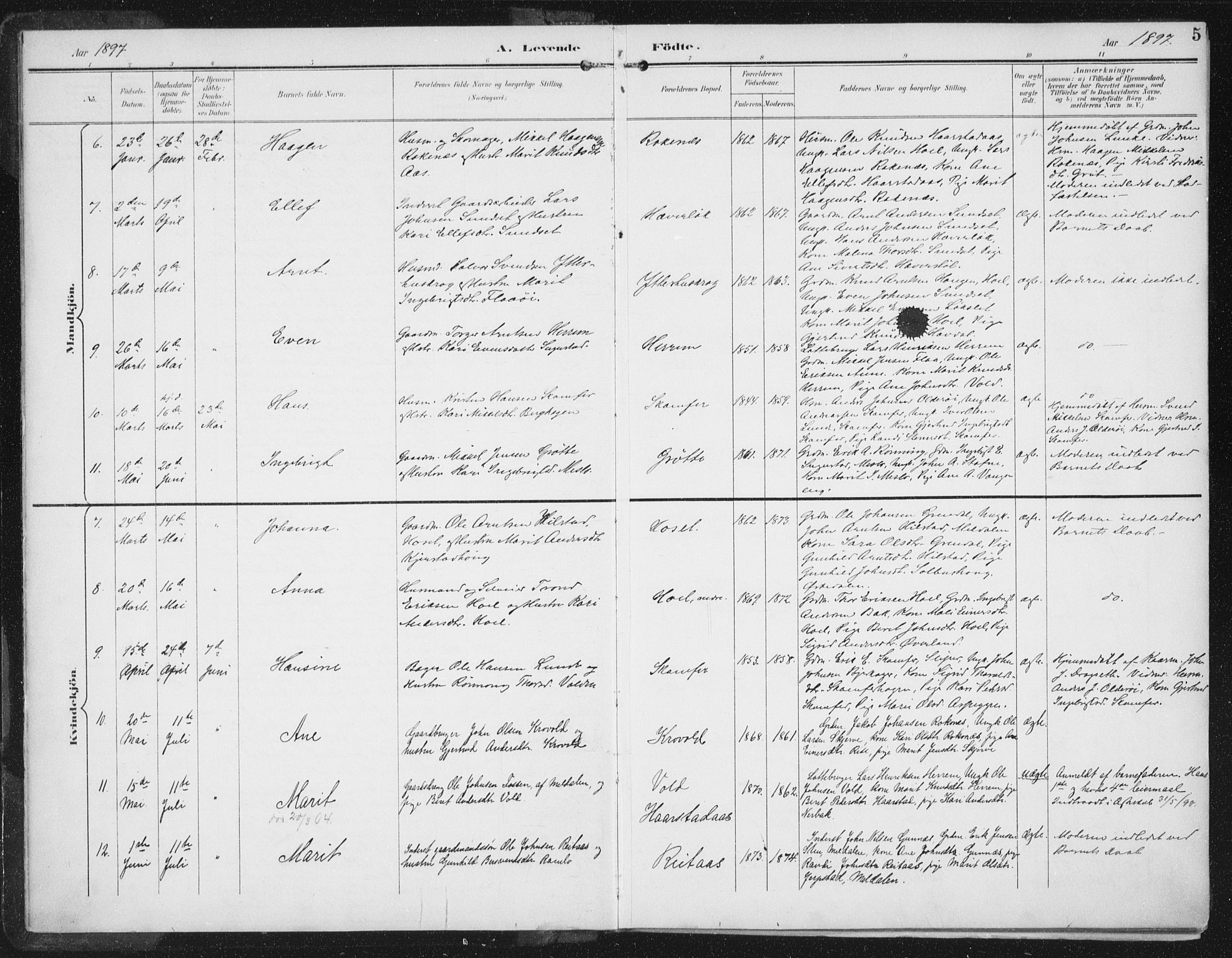 Ministerialprotokoller, klokkerbøker og fødselsregistre - Sør-Trøndelag, SAT/A-1456/674/L0872: Parish register (official) no. 674A04, 1897-1907, p. 5