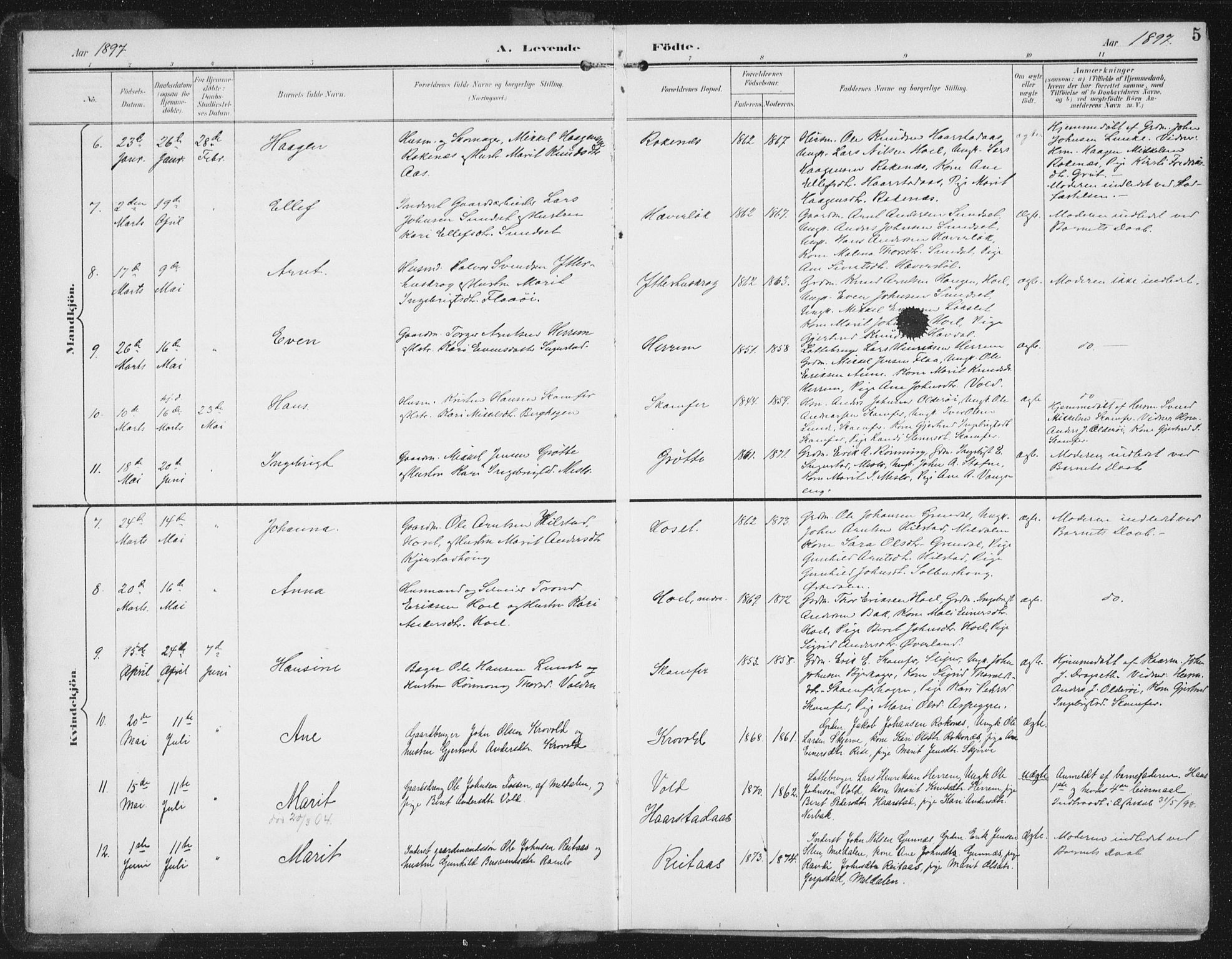 Ministerialprotokoller, klokkerbøker og fødselsregistre - Sør-Trøndelag, AV/SAT-A-1456/674/L0872: Parish register (official) no. 674A04, 1897-1907, p. 5