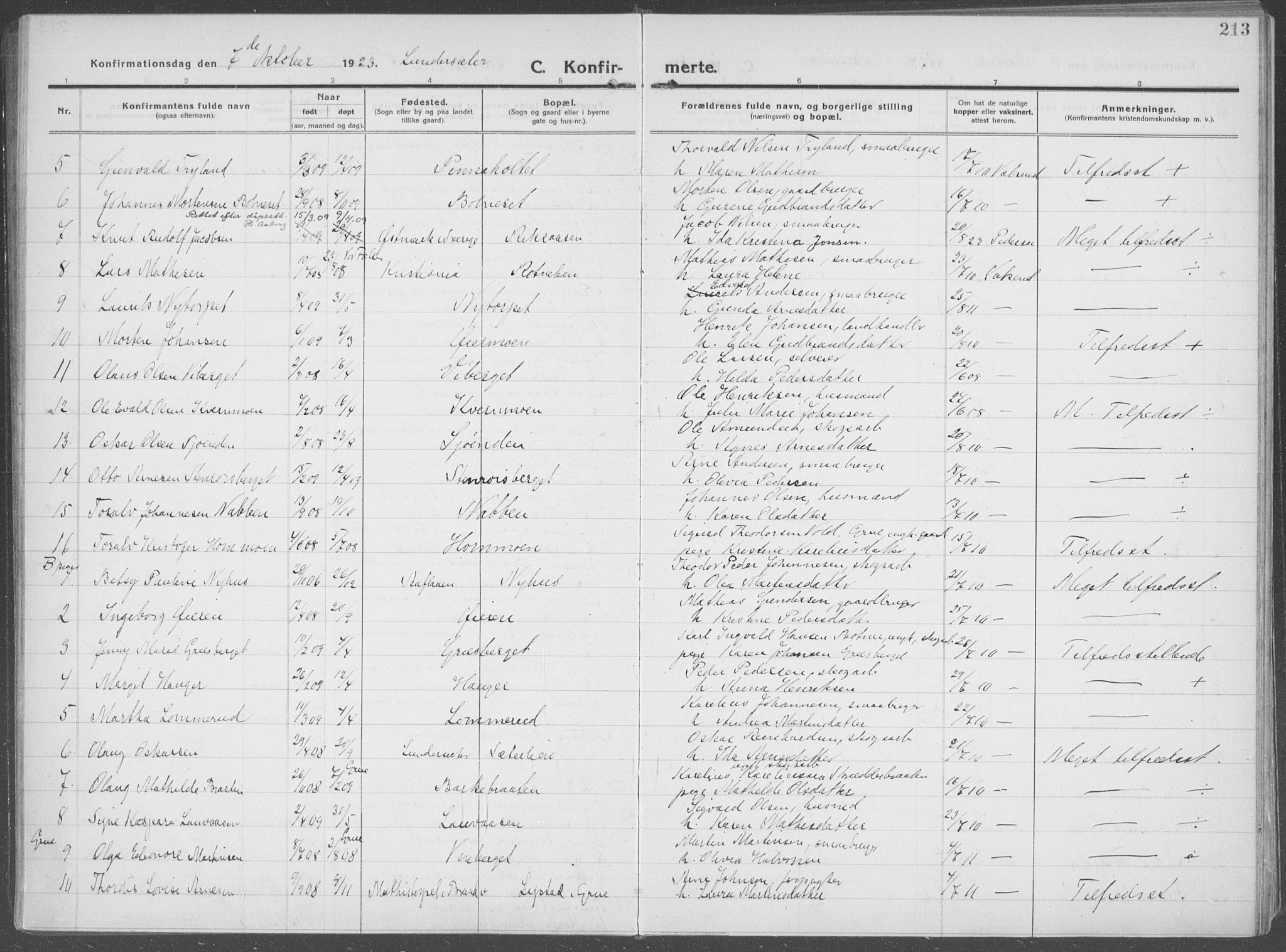 Brandval prestekontor, AV/SAH-PREST-034/H/Ha/Haa/L0004: Parish register (official) no. 4, 1910-1924, p. 213