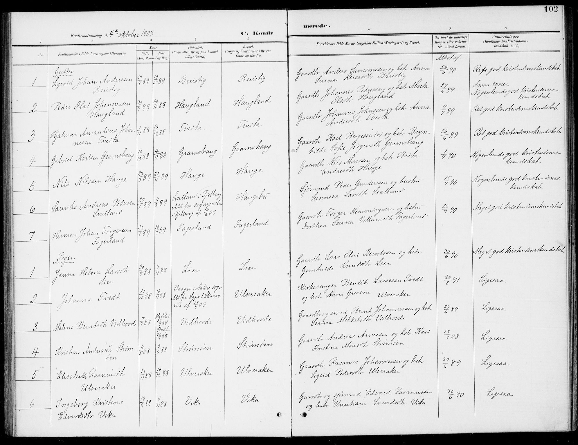 Sveio Sokneprestembete, AV/SAB-A-78501/H/Haa: Parish register (official) no. C 3, 1899-1916, p. 102