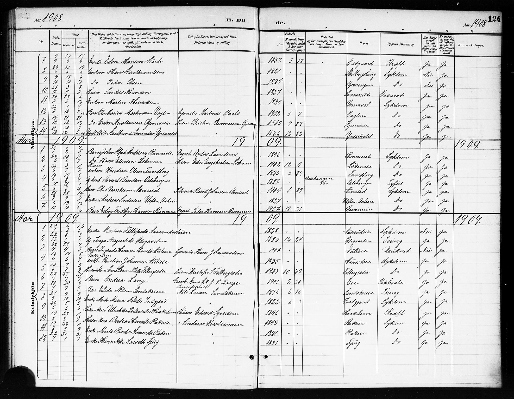 Nes prestekontor Kirkebøker, AV/SAO-A-10410/G/Gc/L0001: Parish register (copy) no. III 1, 1901-1917, p. 124