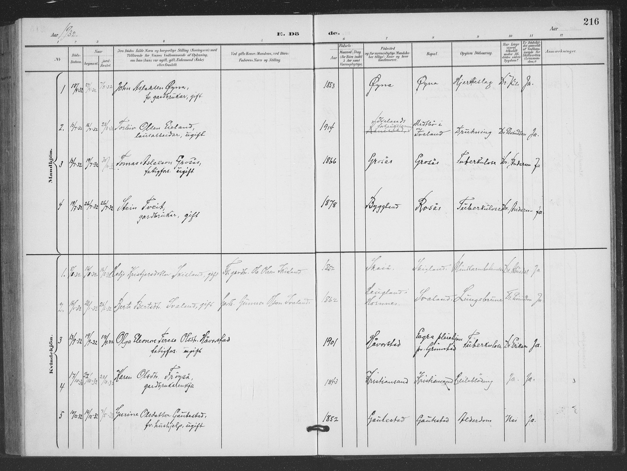 Evje sokneprestkontor, AV/SAK-1111-0008/F/Fb/Fbc/L0005: Parish register (copy) no. B 5, 1901-1935, p. 216