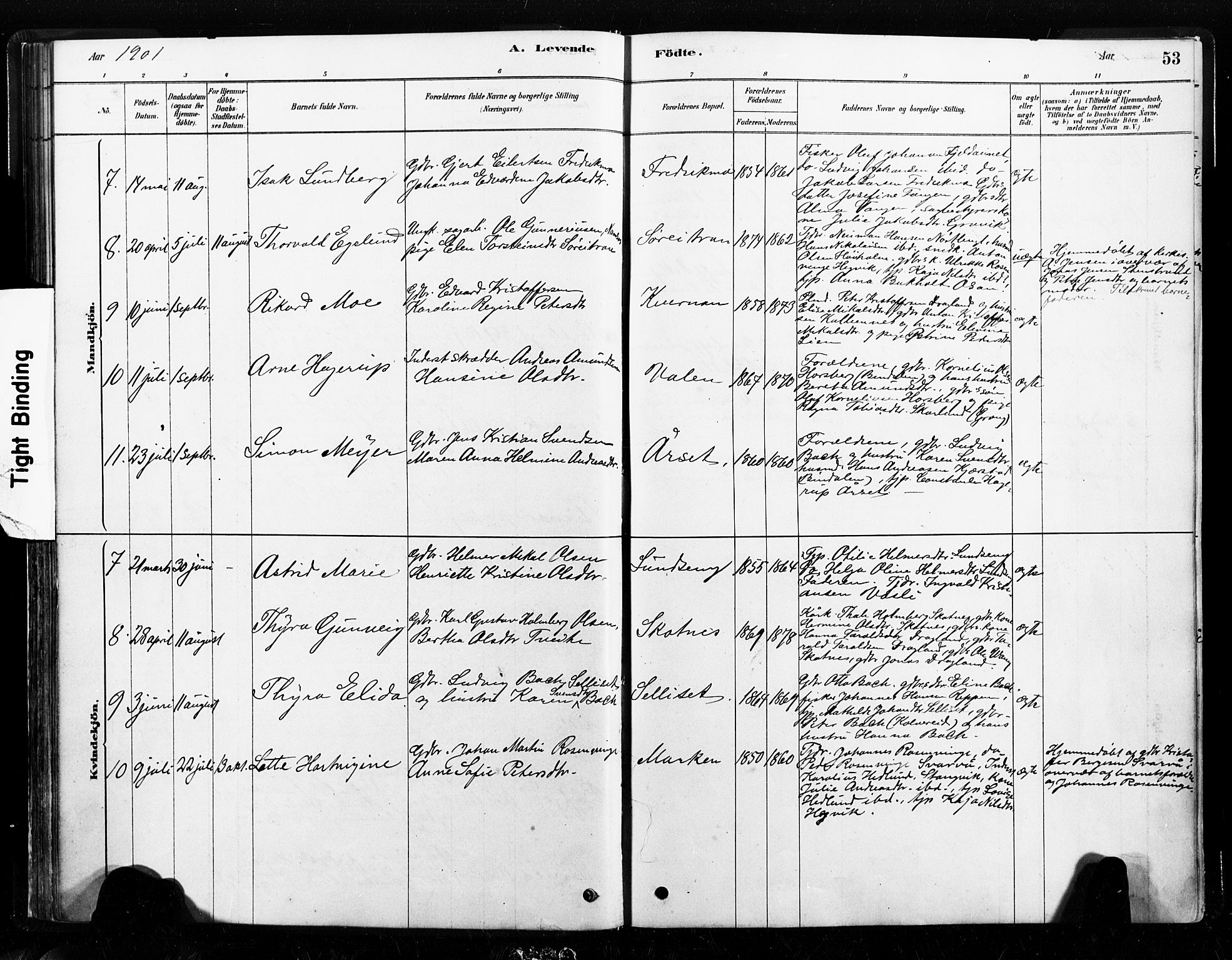 Ministerialprotokoller, klokkerbøker og fødselsregistre - Nord-Trøndelag, SAT/A-1458/789/L0705: Parish register (official) no. 789A01, 1878-1910, p. 53