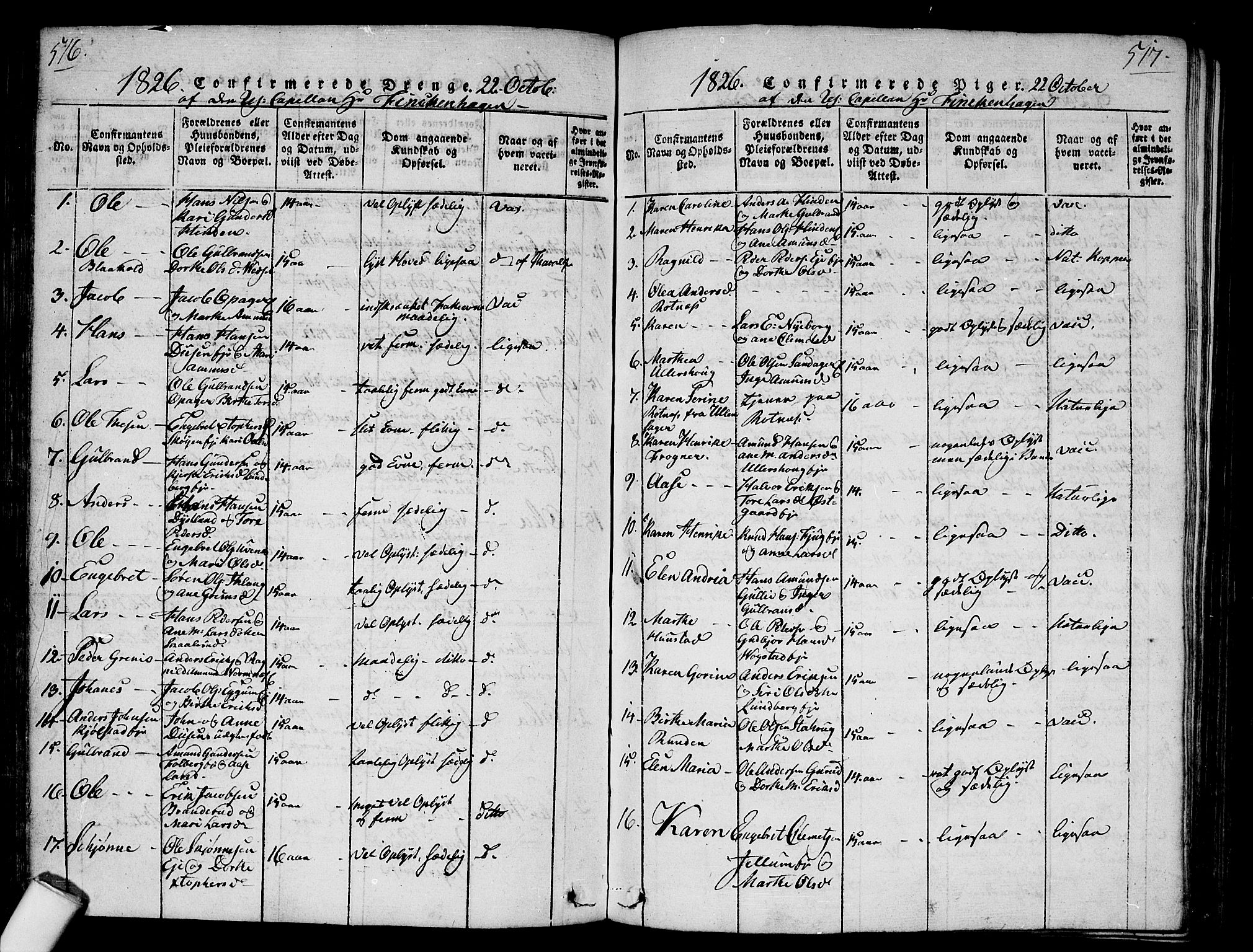 Nes prestekontor Kirkebøker, AV/SAO-A-10410/G/Ga/L0001: Parish register (copy) no. I 1, 1815-1835, p. 516-517