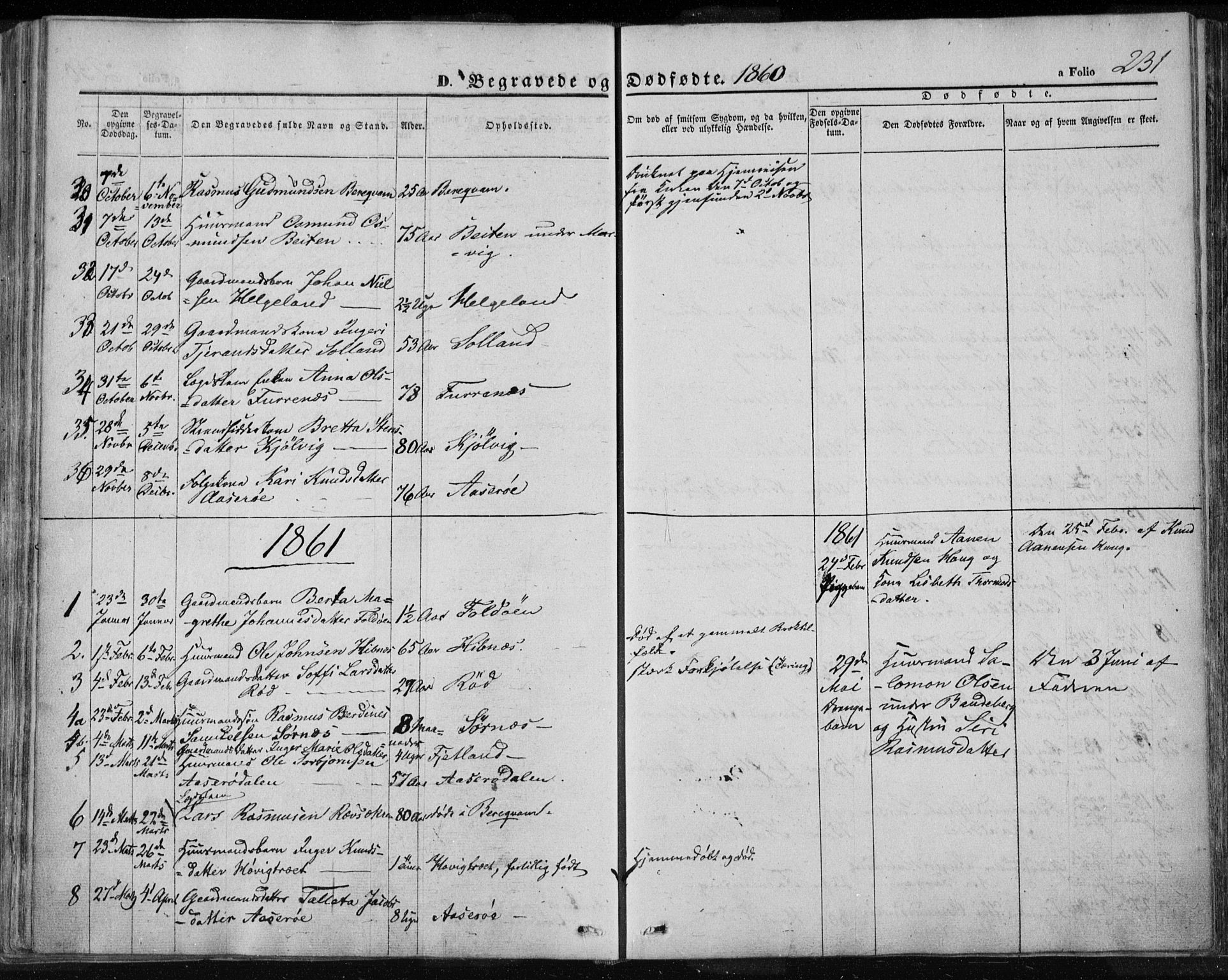 Jelsa sokneprestkontor, SAST/A-101842/01/IV: Parish register (official) no. A 7, 1854-1866, p. 231