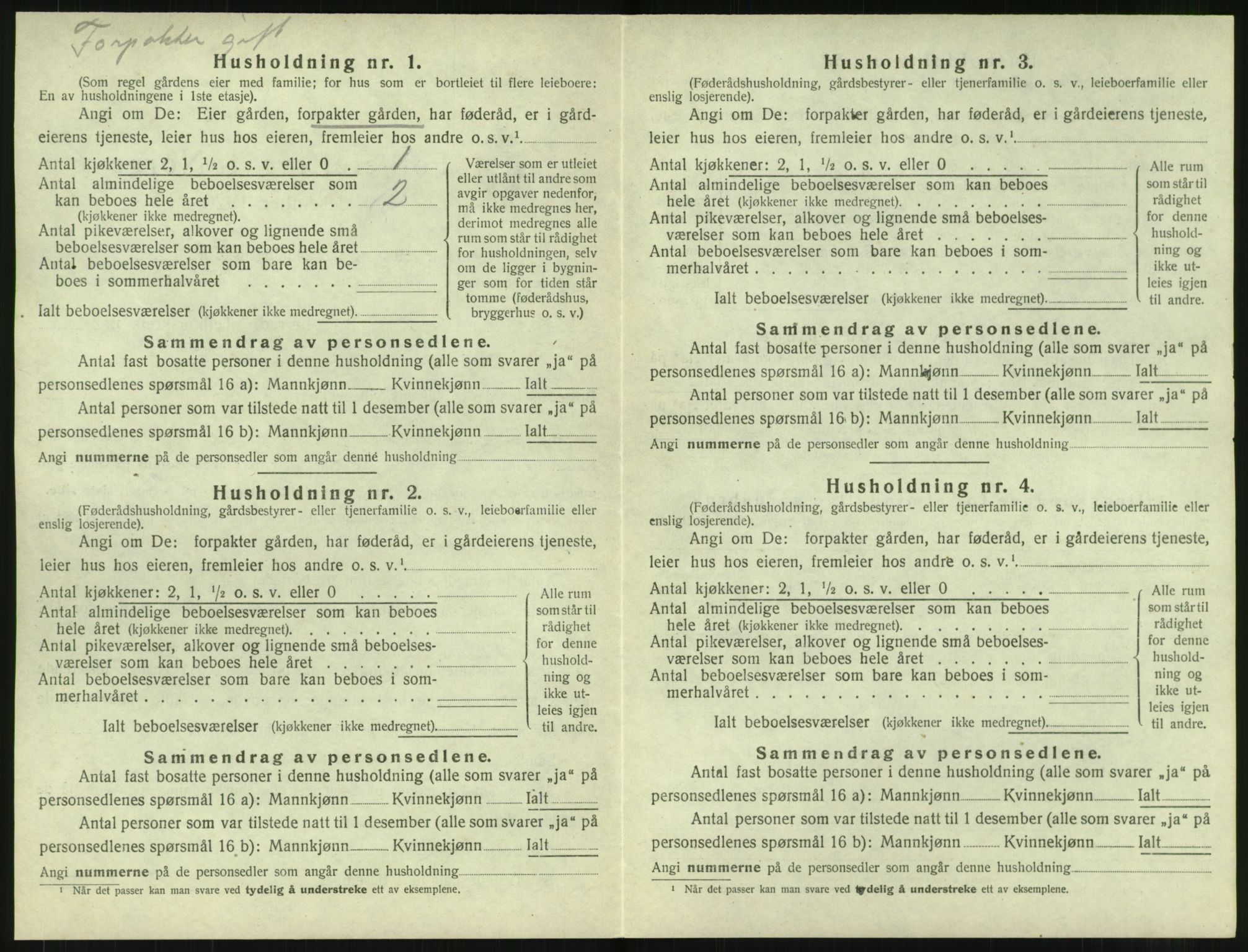 SAT, 1920 census for Borge, 1920, p. 272