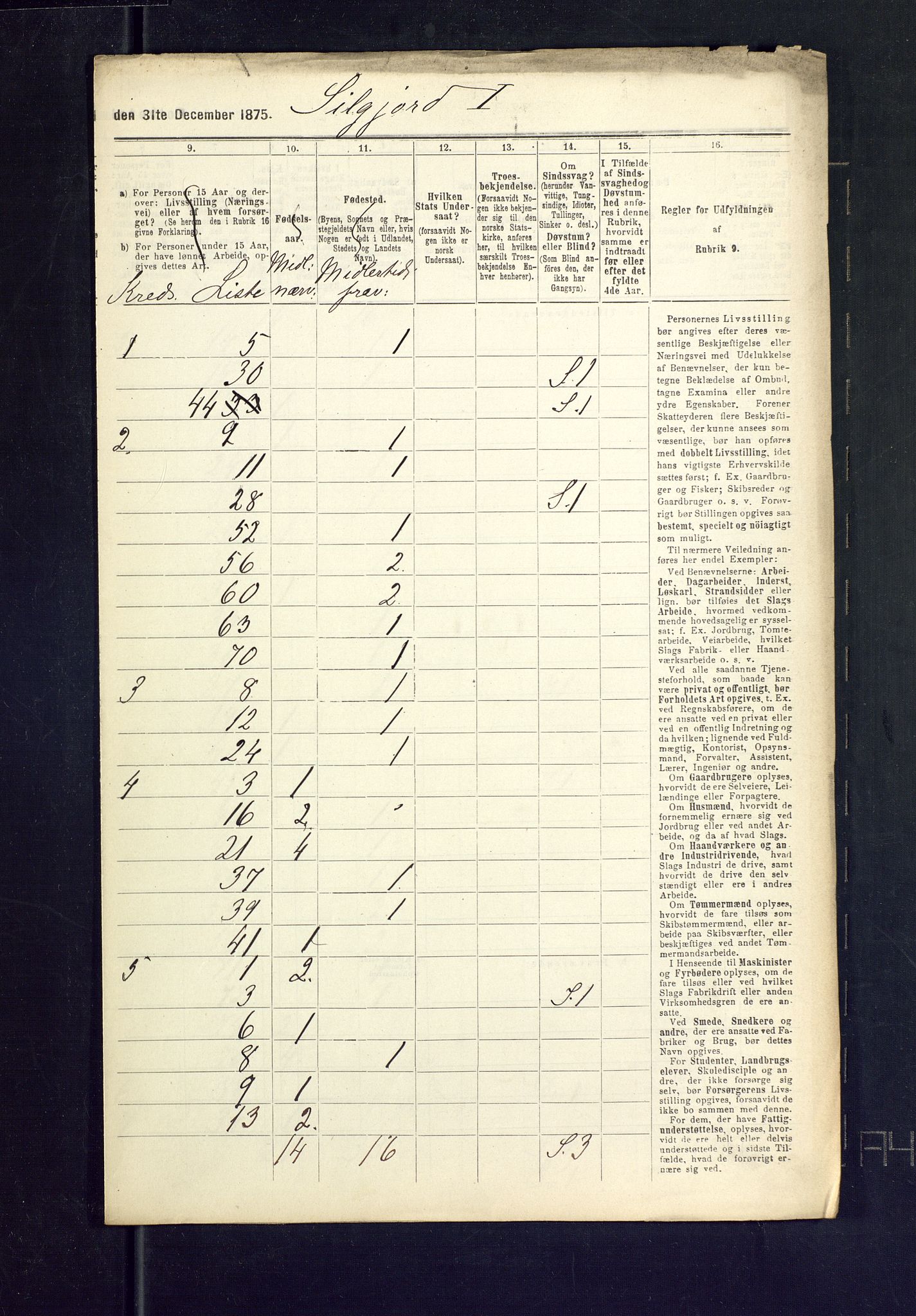 SAKO, 1875 census for 0828P Seljord, 1875, p. 65