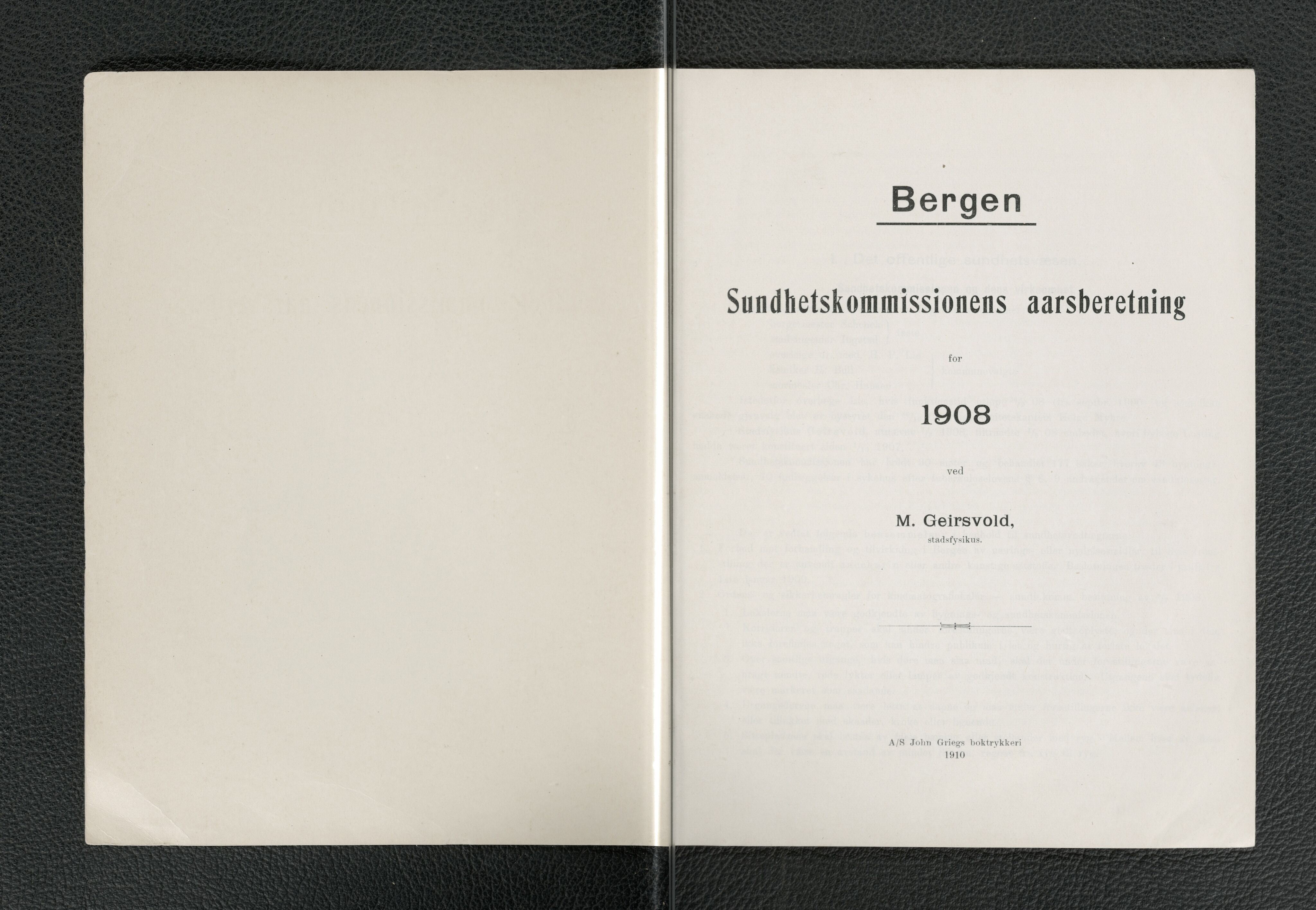 Bergen kommune, Sunnhetsvesen (Bergen helseråd), BBA/A-2617/X/Xa/L0001: Årsmelding, 1908