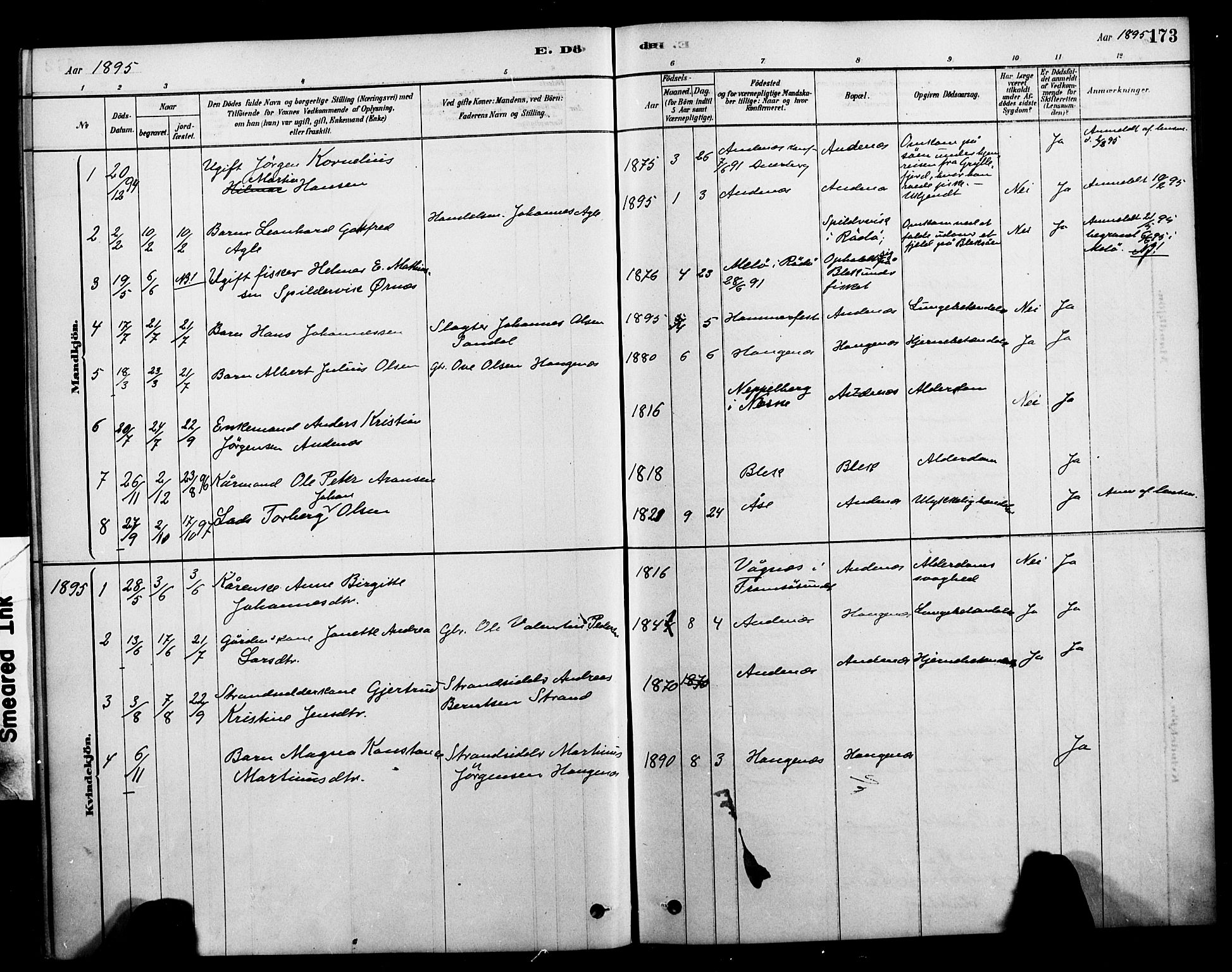 Ministerialprotokoller, klokkerbøker og fødselsregistre - Nordland, AV/SAT-A-1459/899/L1436: Parish register (official) no. 899A04, 1881-1896, p. 173