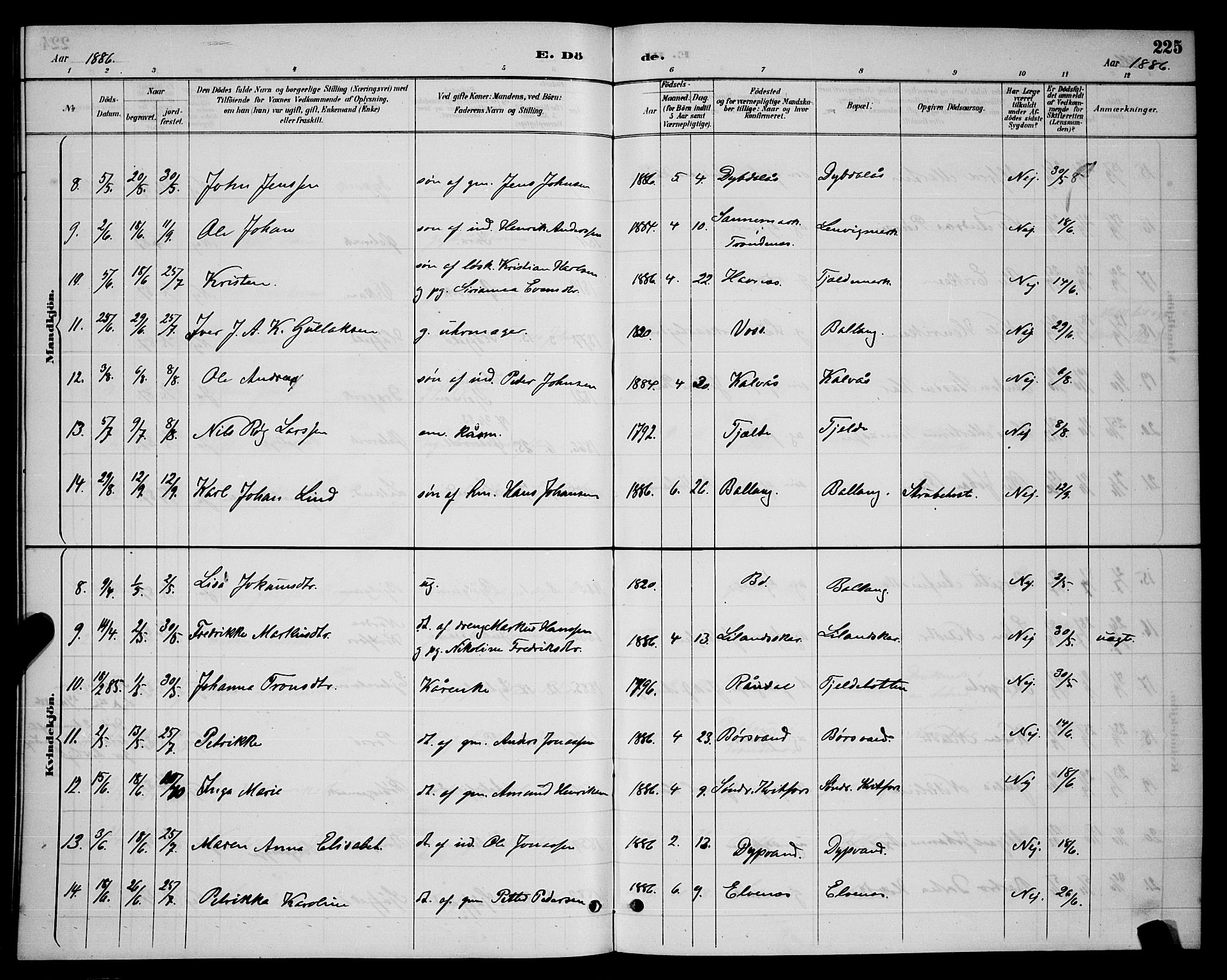 Ministerialprotokoller, klokkerbøker og fødselsregistre - Nordland, AV/SAT-A-1459/863/L0914: Parish register (copy) no. 863C04, 1886-1897, p. 225