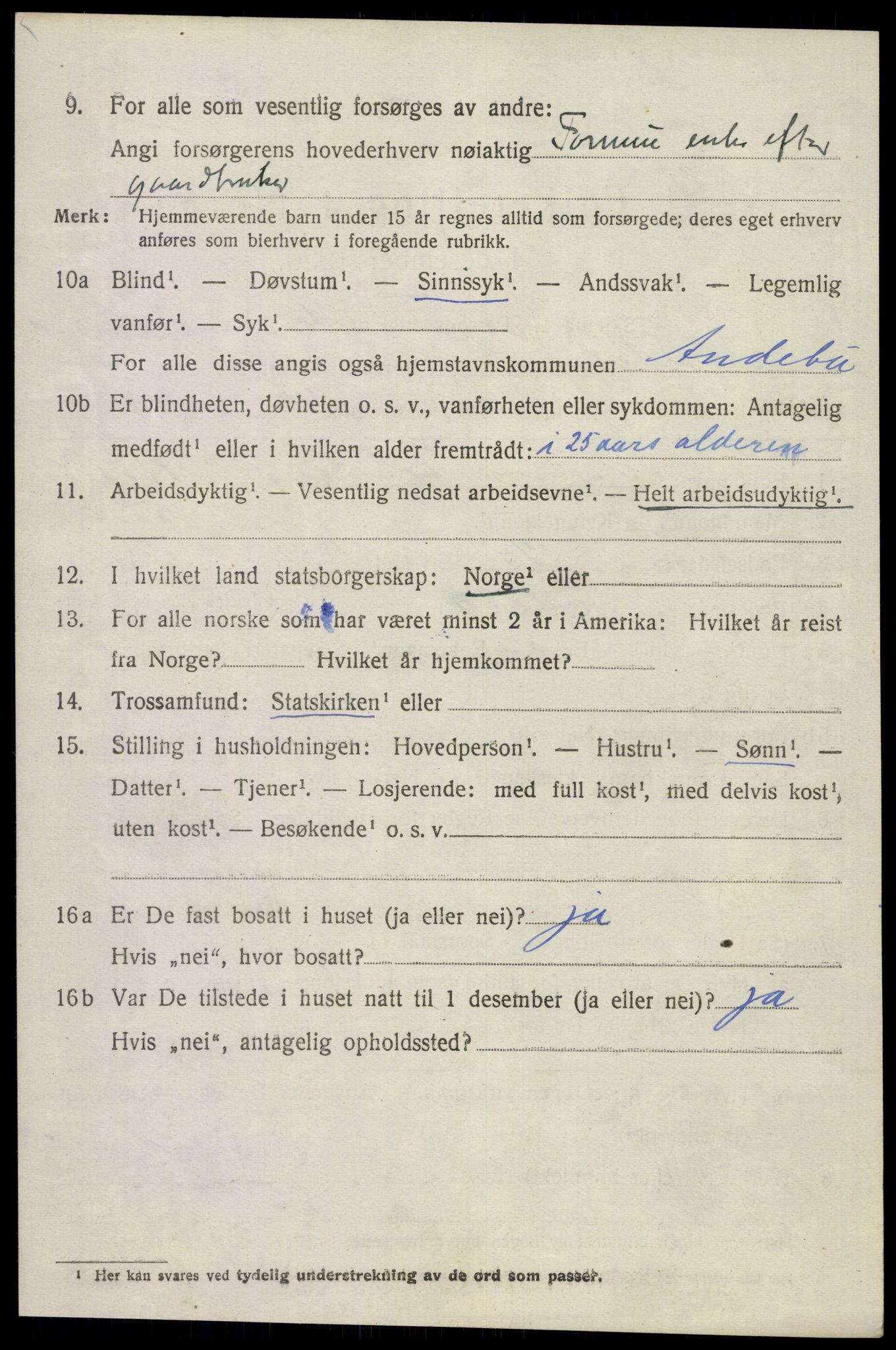SAKO, 1920 census for Andebu, 1920, p. 2811