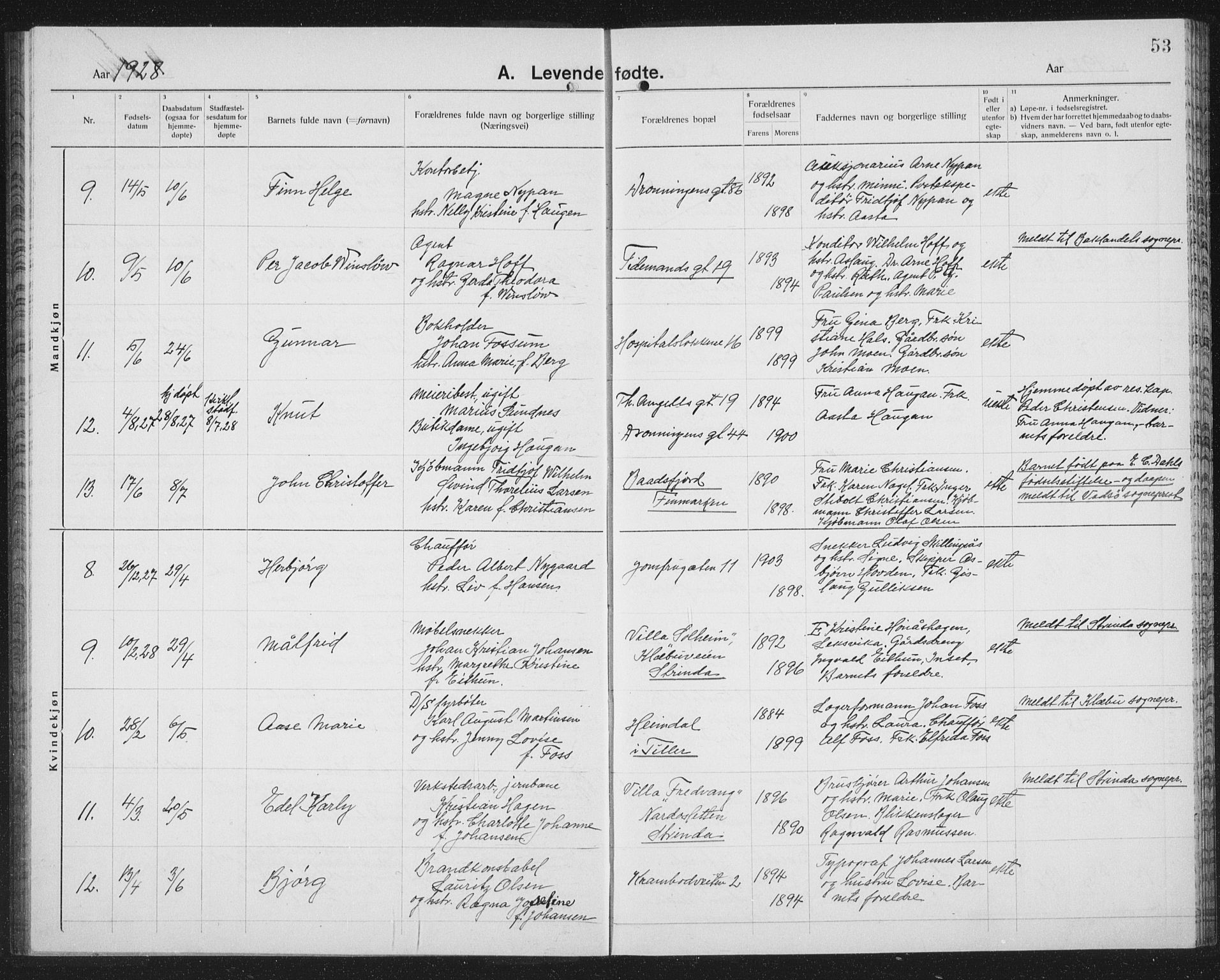 Ministerialprotokoller, klokkerbøker og fødselsregistre - Sør-Trøndelag, AV/SAT-A-1456/602/L0148: Parish register (copy) no. 602C16, 1919-1939, p. 53