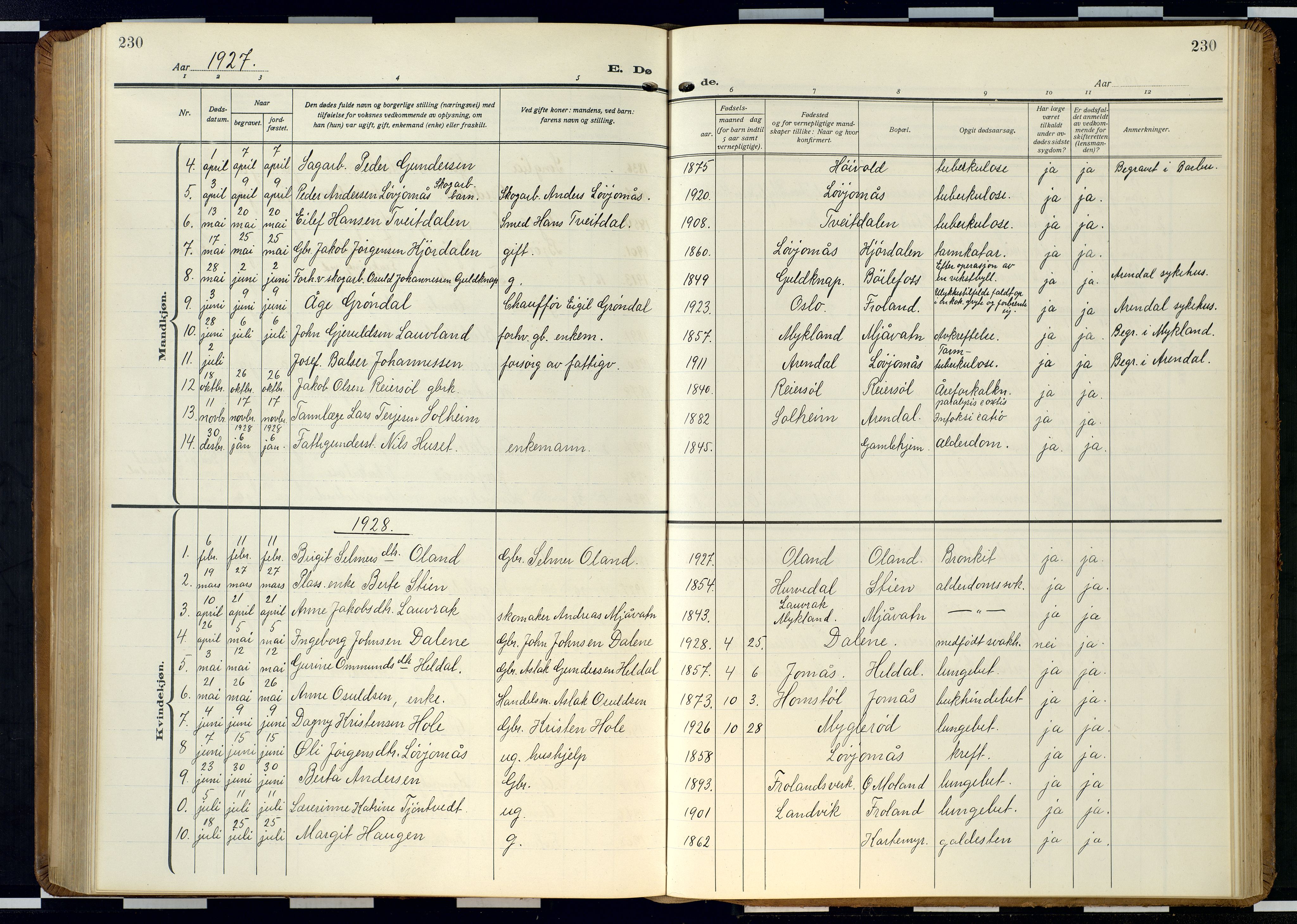 Froland sokneprestkontor, SAK/1111-0013/F/Fb/L0011: Parish register (copy) no. B 11, 1921-1947, p. 230