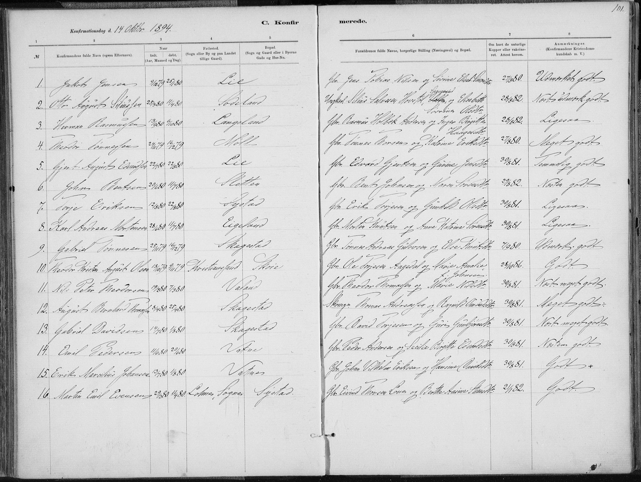 Holum sokneprestkontor, SAK/1111-0022/F/Fa/Faa/L0007: Parish register (official) no. A 7, 1884-1907, p. 101