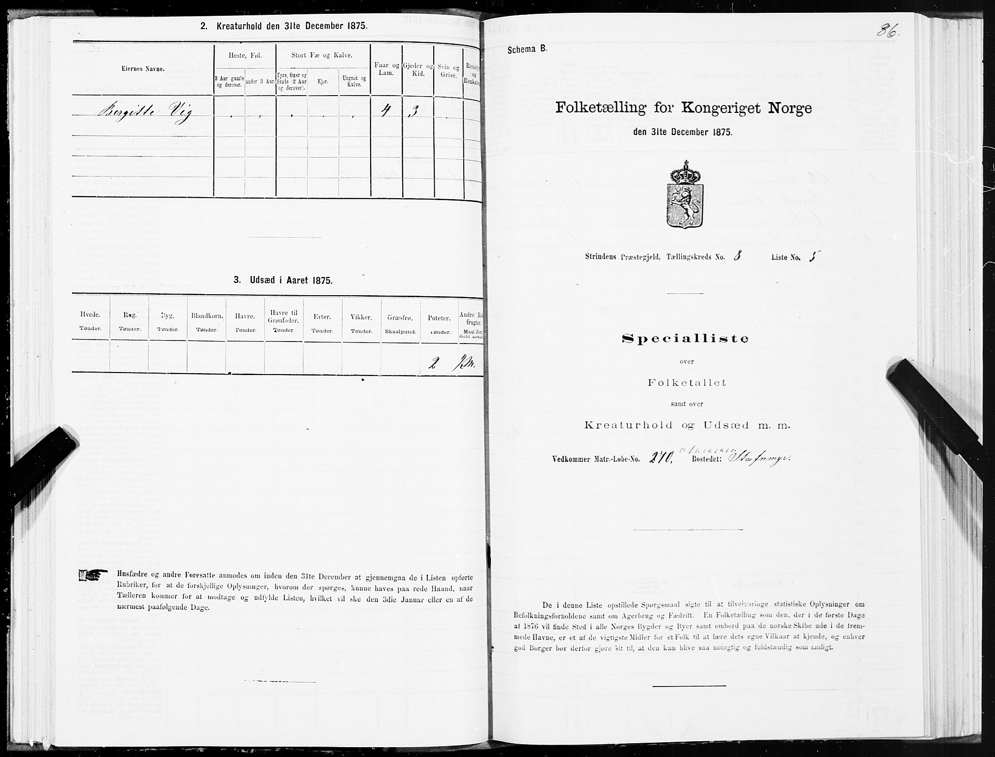 SAT, 1875 census for 1660P Strinda, 1875, p. 4086