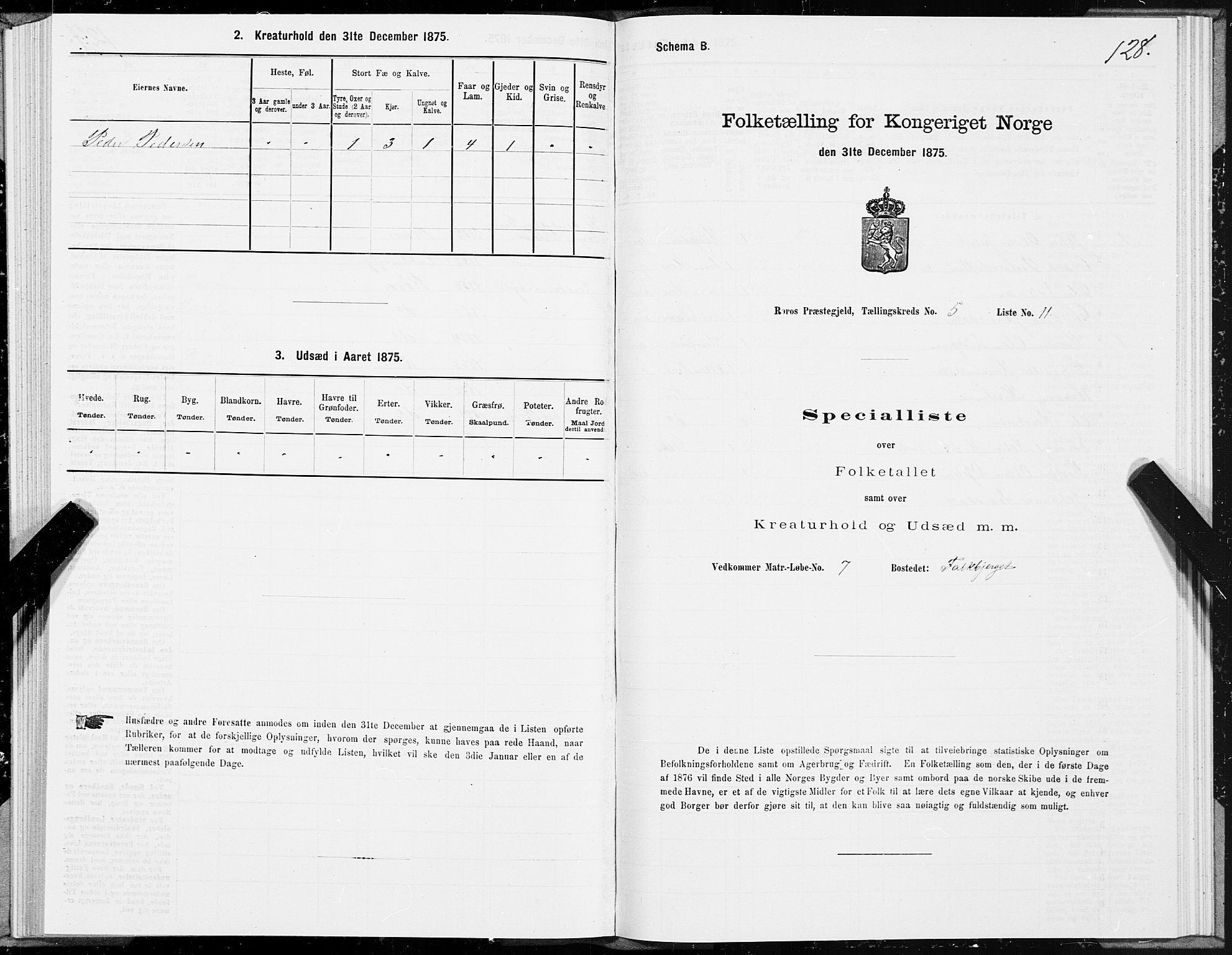 SAT, 1875 census for 1640P Røros, 1875, p. 3128