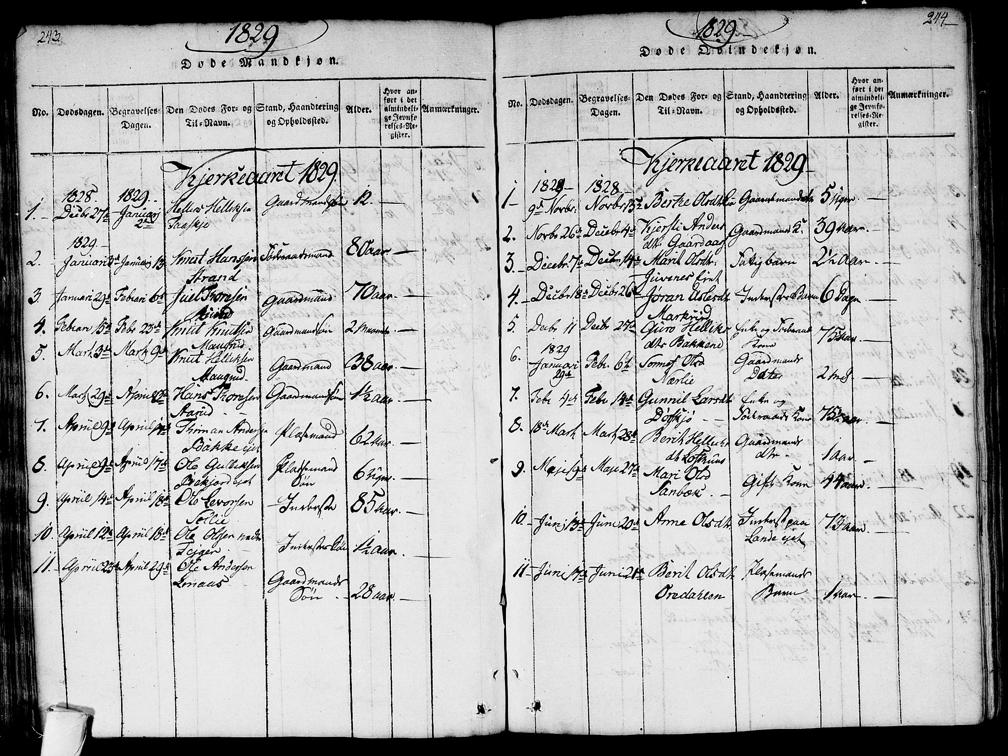 Flesberg kirkebøker, SAKO/A-18/G/Ga/L0001: Parish register (copy) no. I 1, 1816-1834, p. 243-244