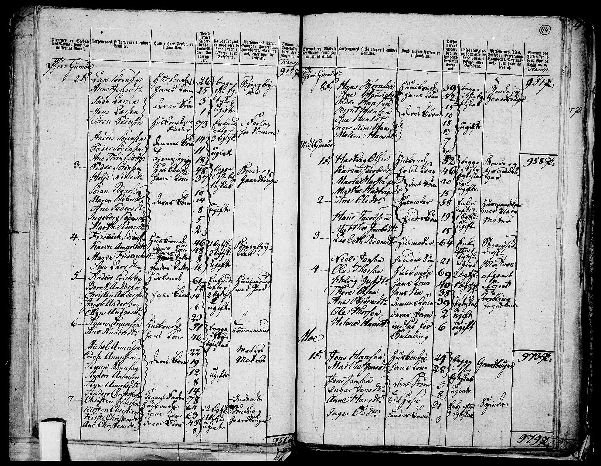 RA, 1801 census for 0801P Kragerø, 1801, p. 113b-114a