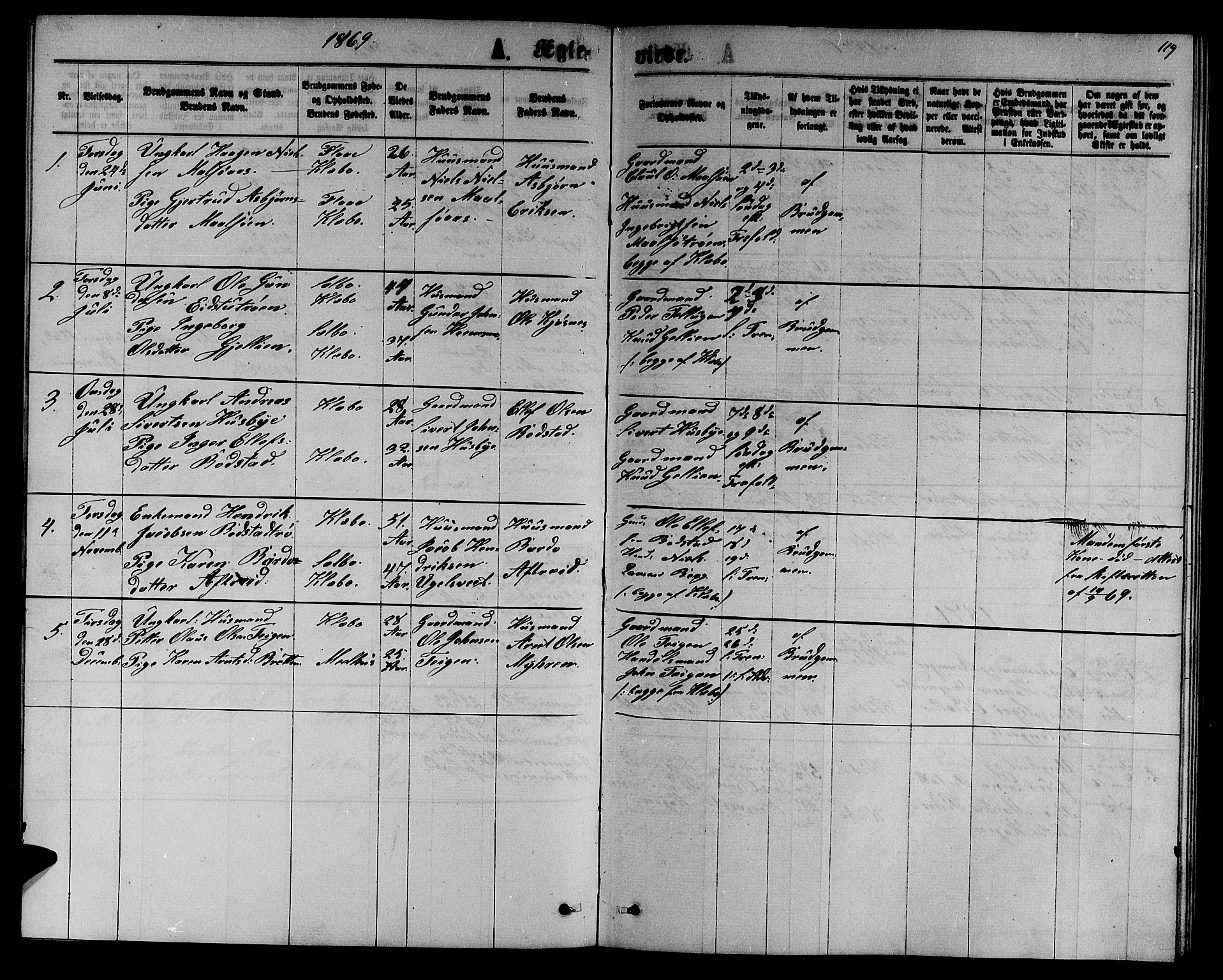 Ministerialprotokoller, klokkerbøker og fødselsregistre - Sør-Trøndelag, SAT/A-1456/618/L0451: Parish register (copy) no. 618C02, 1865-1883, p. 119