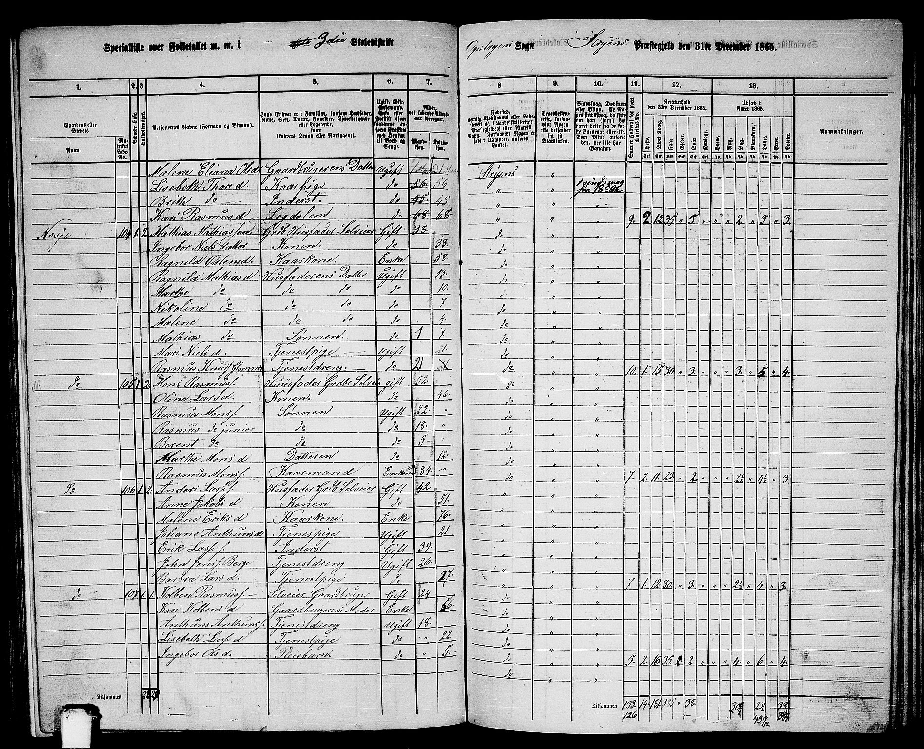 RA, 1865 census for Stryn, 1865, p. 10