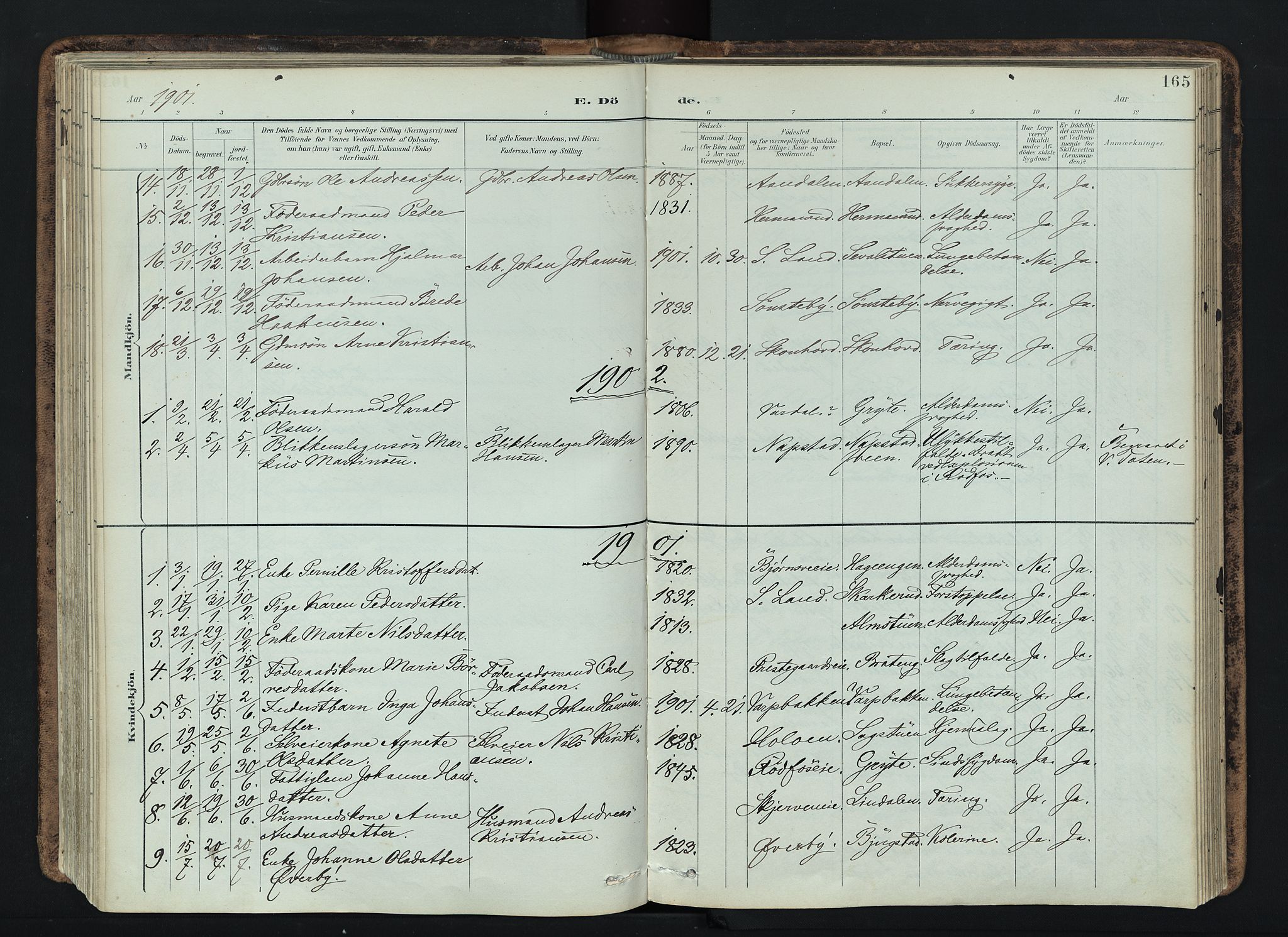 Vardal prestekontor, SAH/PREST-100/H/Ha/Haa/L0019: Parish register (official) no. 19, 1893-1907, p. 165