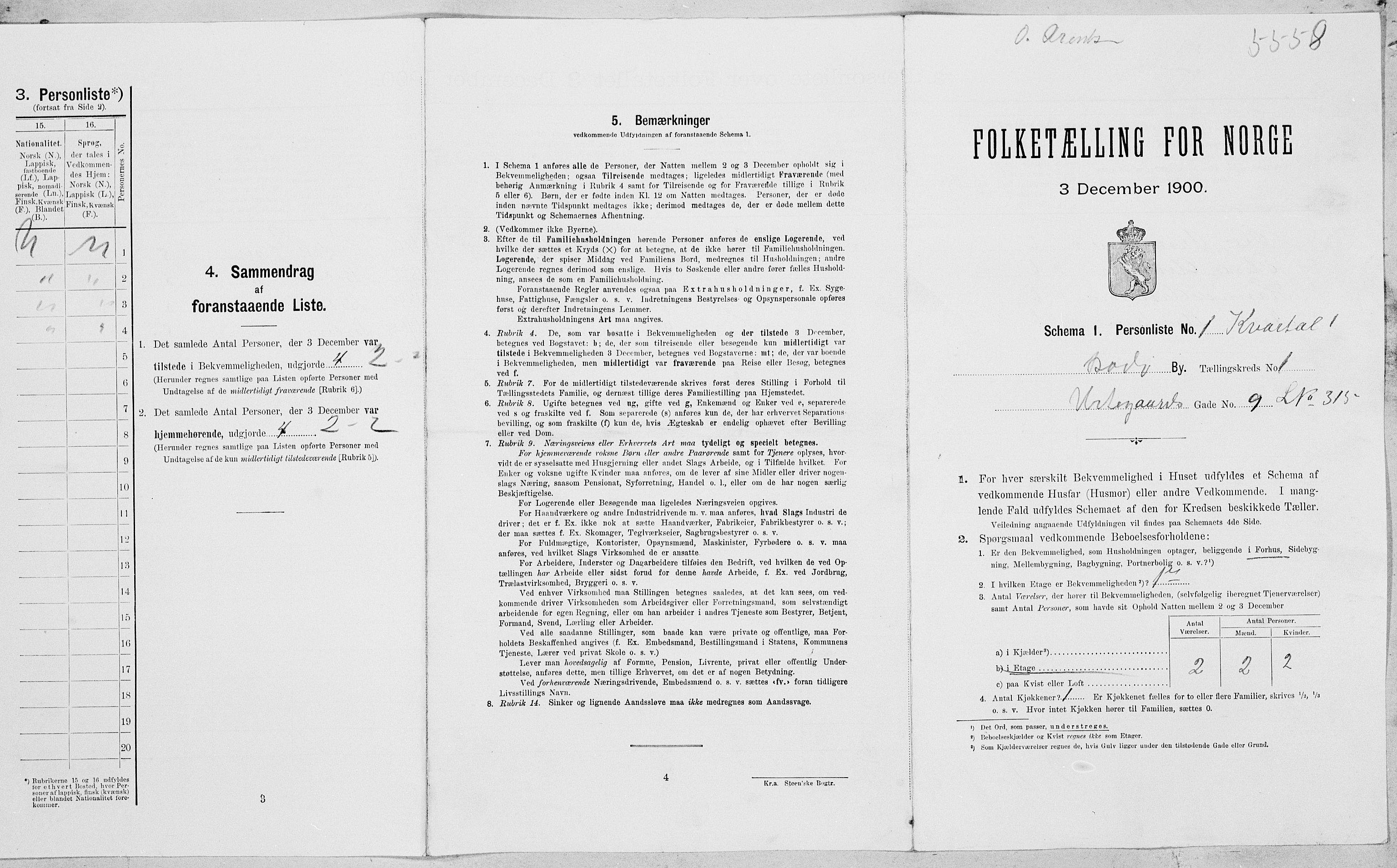 SAT, 1900 census for Bodø, 1900, p. 100