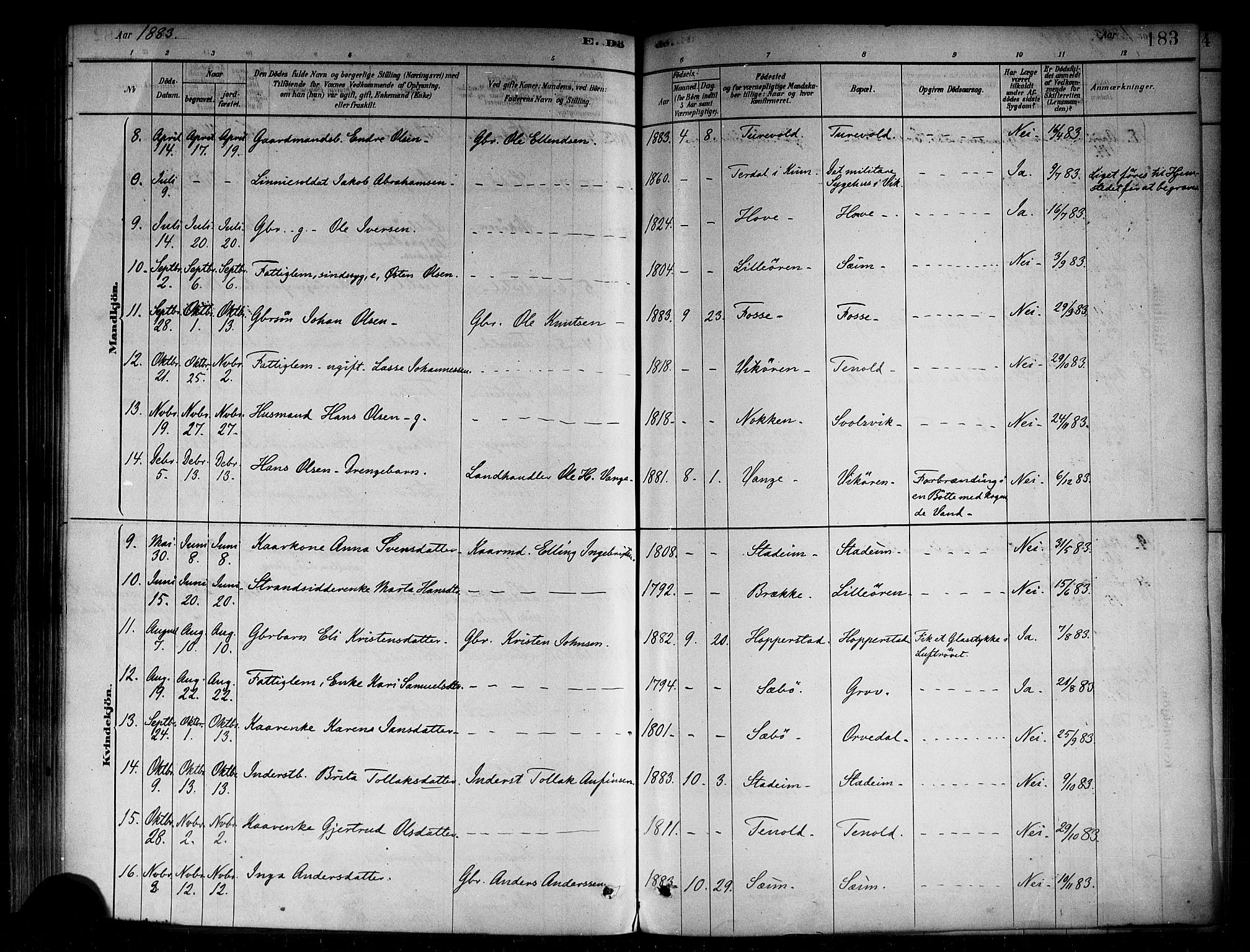 Vik sokneprestembete, AV/SAB-A-81501/H/Haa/Haab/L0001: Parish register (official) no. B 1, 1878-1890, p. 183