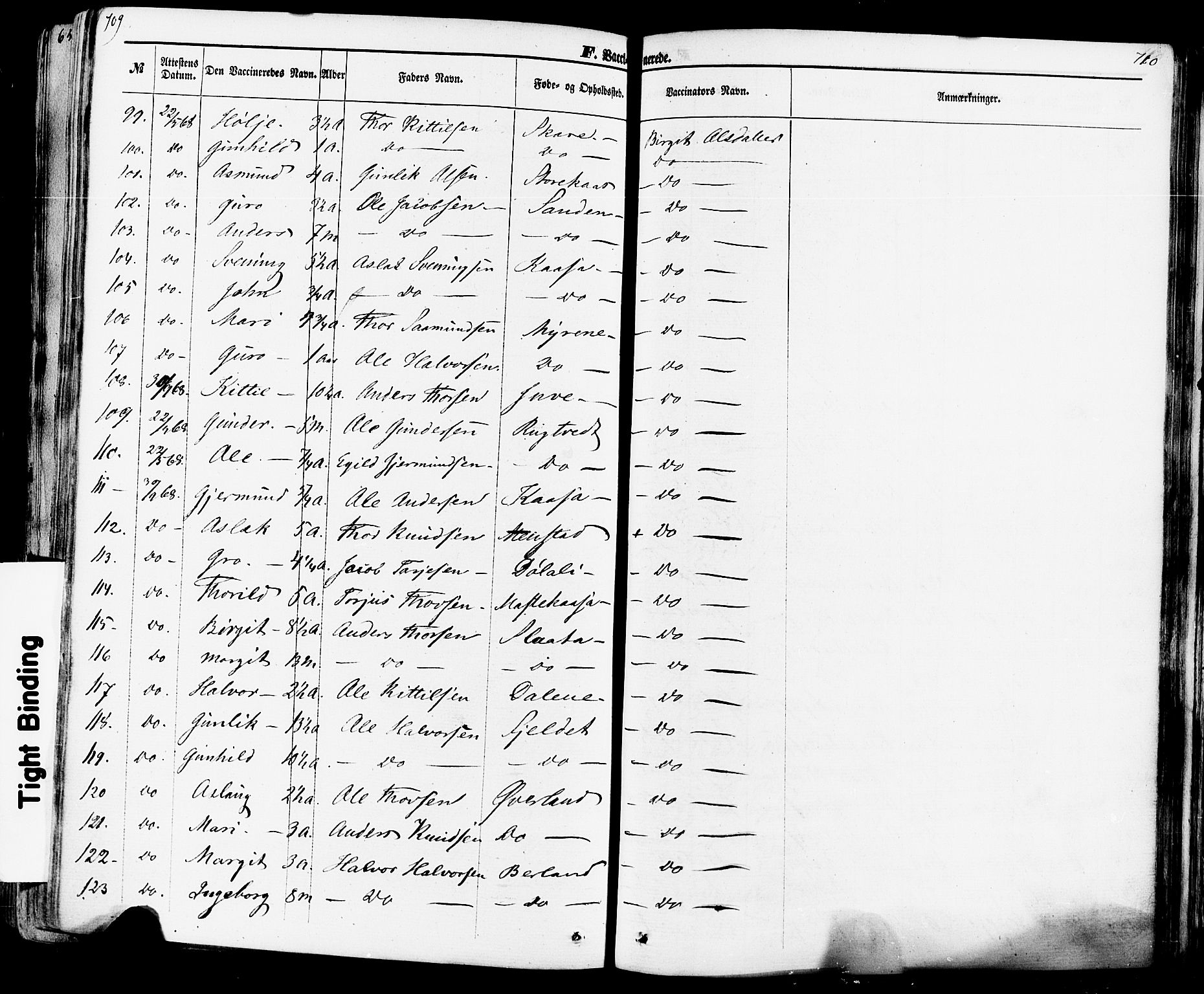 Seljord kirkebøker, SAKO/A-20/F/Fa/L0013: Parish register (official) no. I 13, 1866-1876, p. 709-710