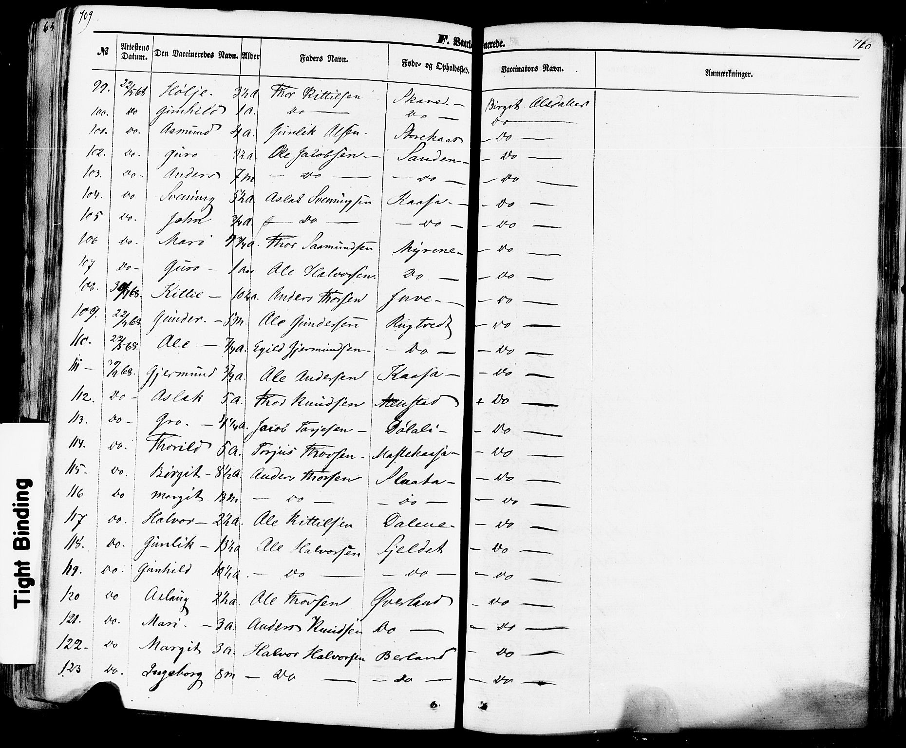 Seljord kirkebøker, AV/SAKO-A-20/F/Fa/L0013: Parish register (official) no. I 13, 1866-1876, p. 709-710