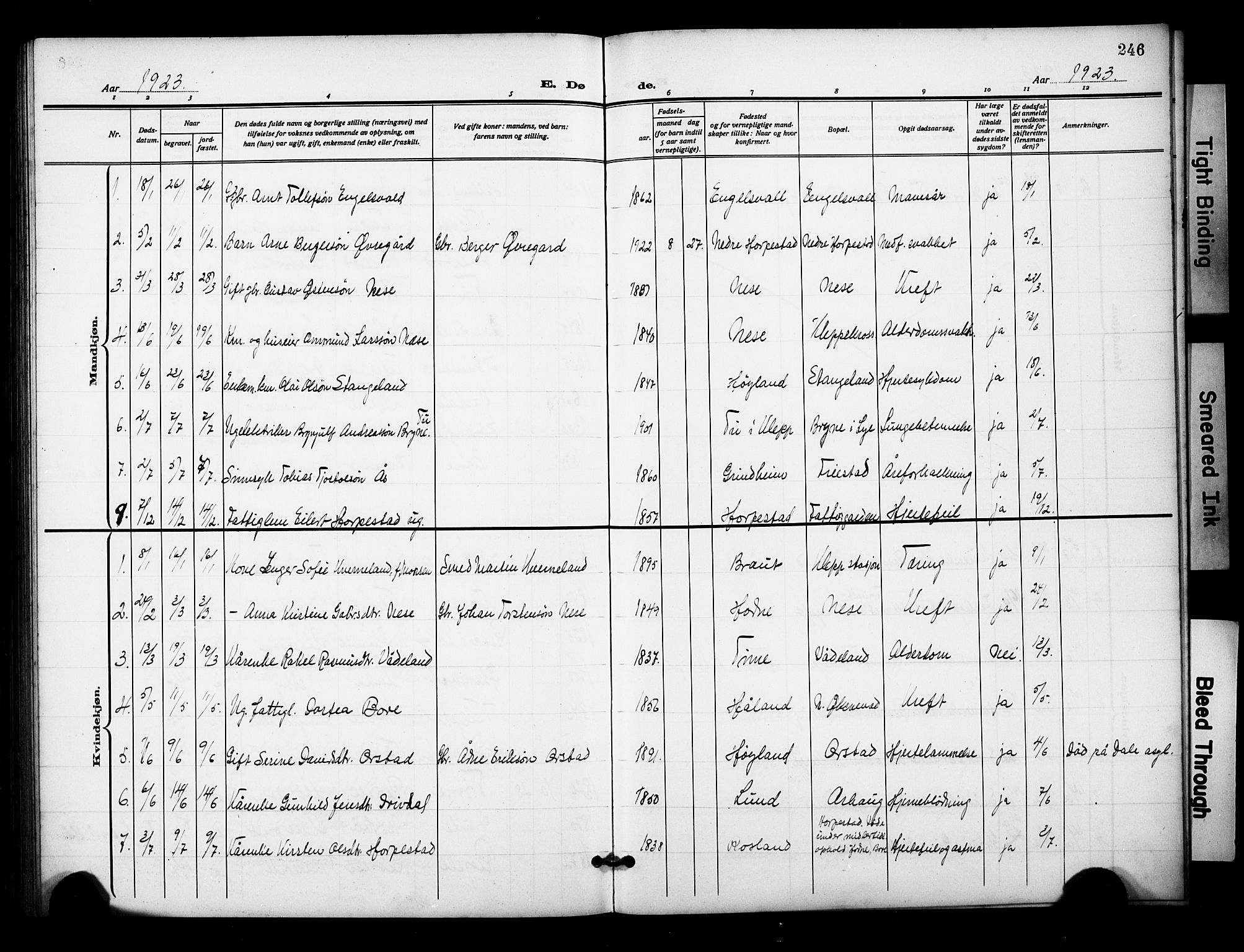 Klepp sokneprestkontor, AV/SAST-A-101803/001/3/30BB/L0007: Parish register (copy) no. B 7, 1908-1934, p. 246