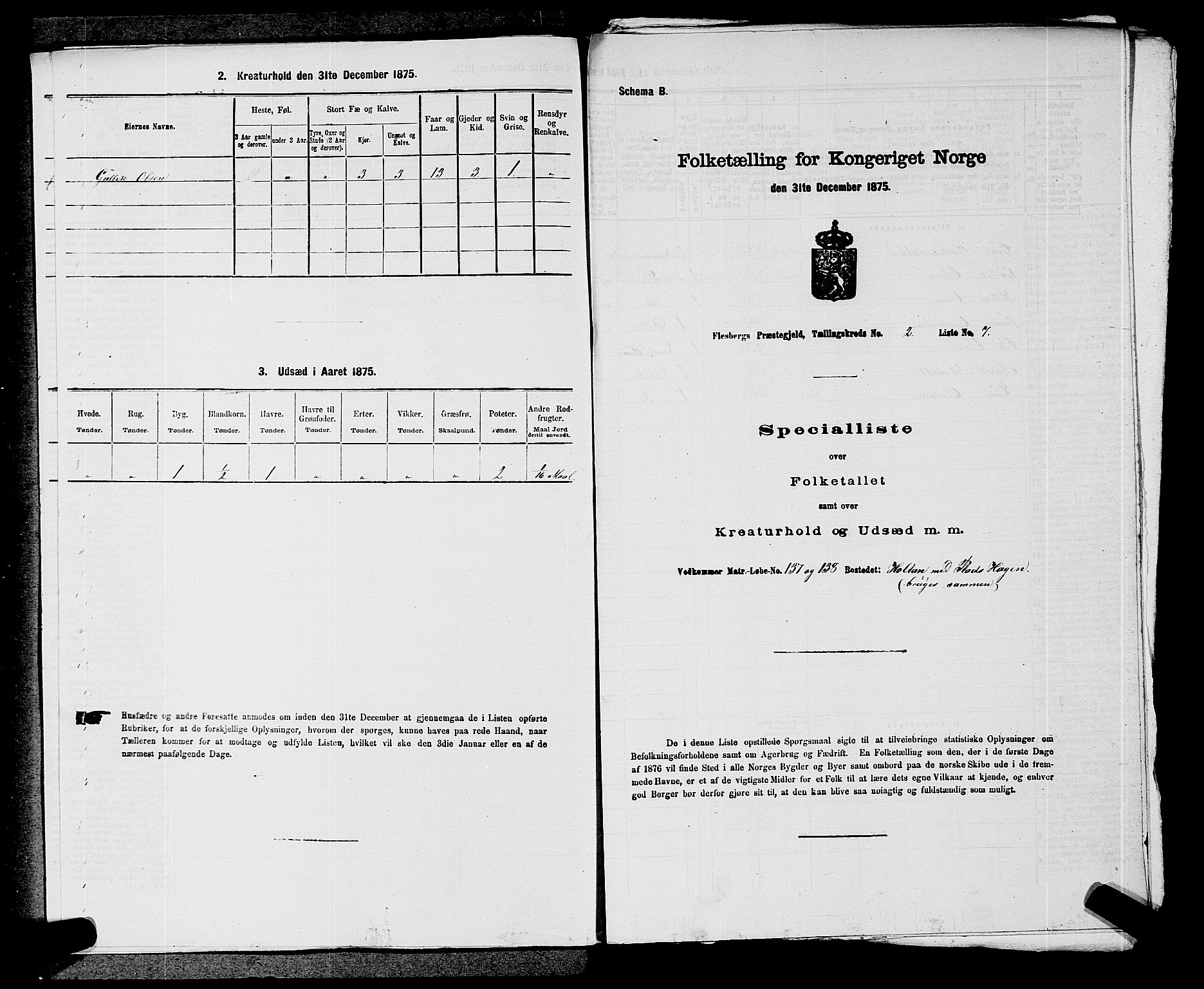 SAKO, 1875 census for 0631P Flesberg, 1875, p. 472