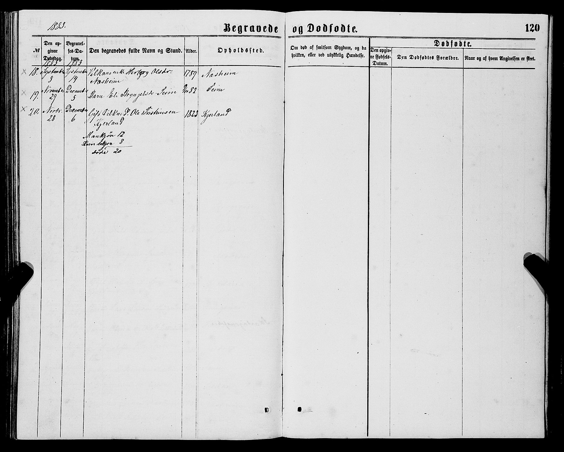 Ulvik sokneprestembete, AV/SAB-A-78801/H/Hab: Parish register (copy) no. B 2, 1869-1883, p. 120