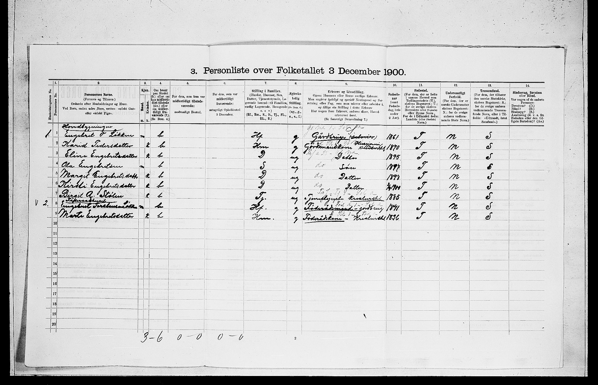 RA, 1900 census for Hemsedal, 1900, p. 100