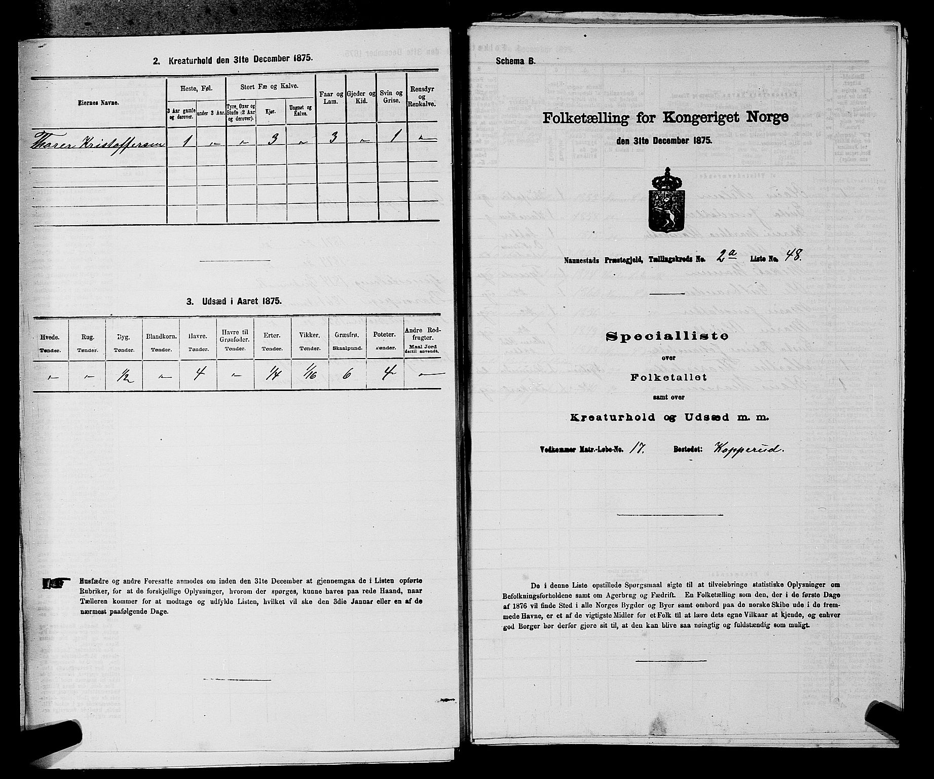 RA, 1875 census for 0238P Nannestad, 1875, p. 303