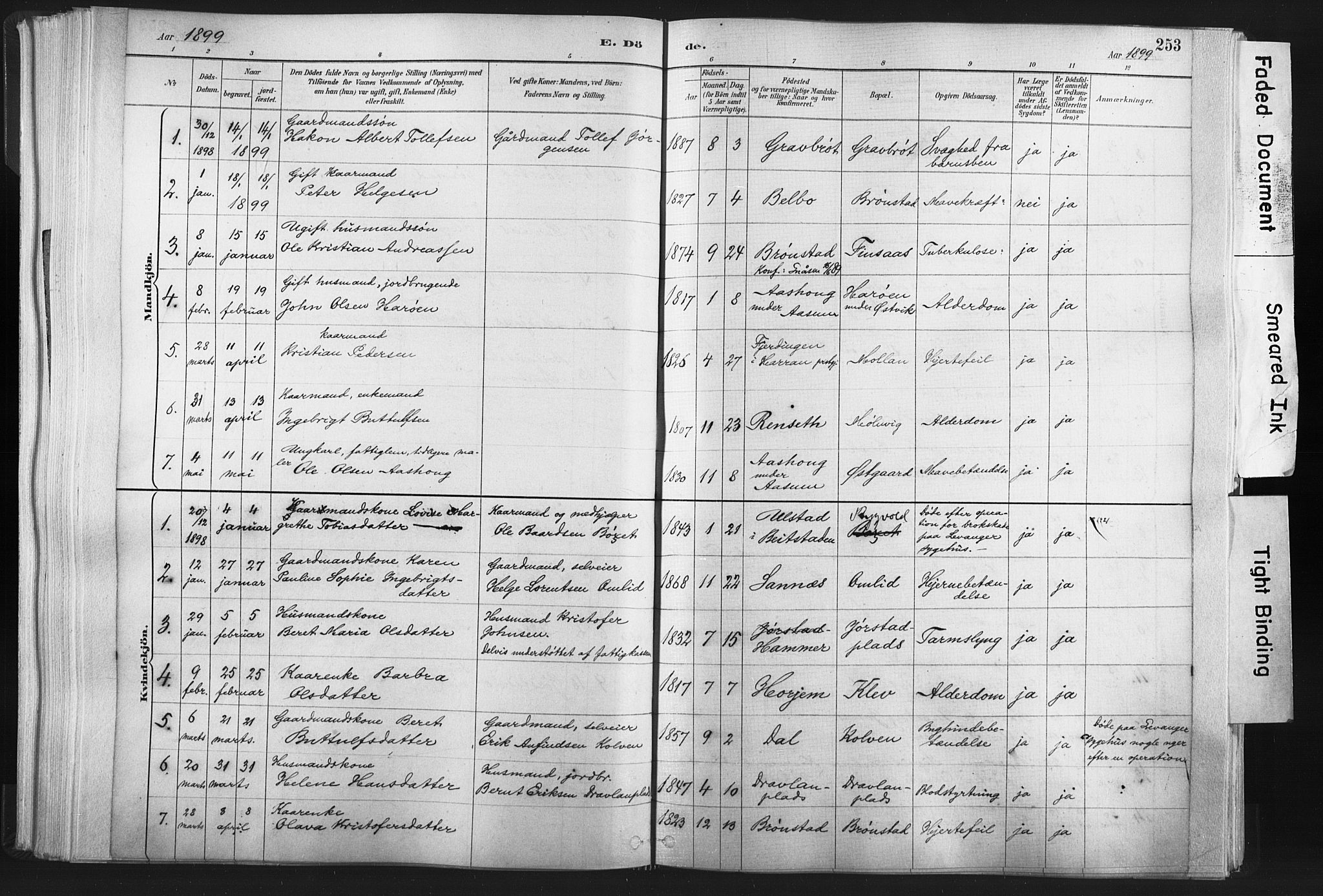 Ministerialprotokoller, klokkerbøker og fødselsregistre - Nord-Trøndelag, AV/SAT-A-1458/749/L0474: Parish register (official) no. 749A08, 1887-1903, p. 253