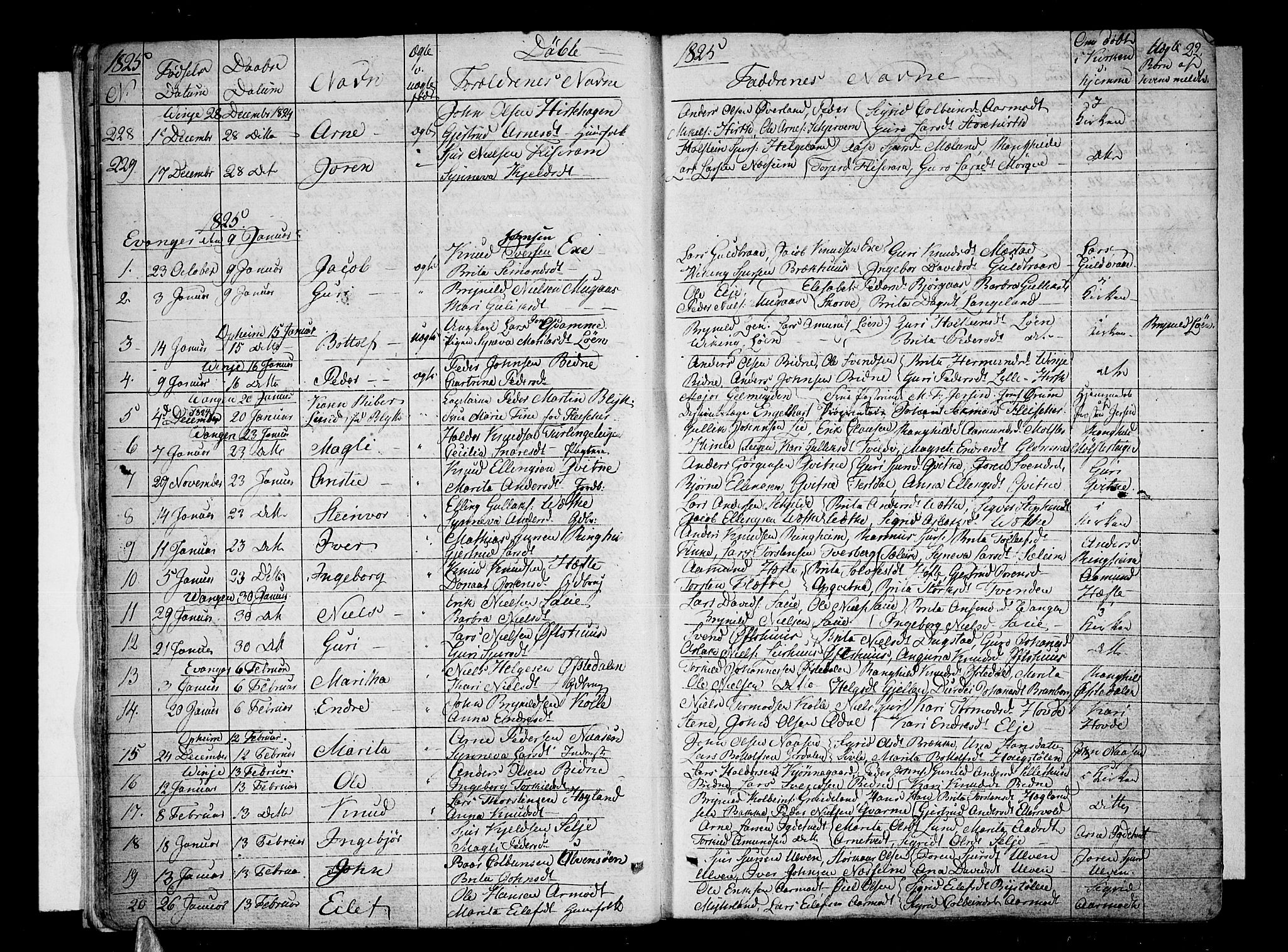 Voss sokneprestembete, AV/SAB-A-79001/H/Haa: Parish register (official) no. A 12, 1823-1837, p. 22