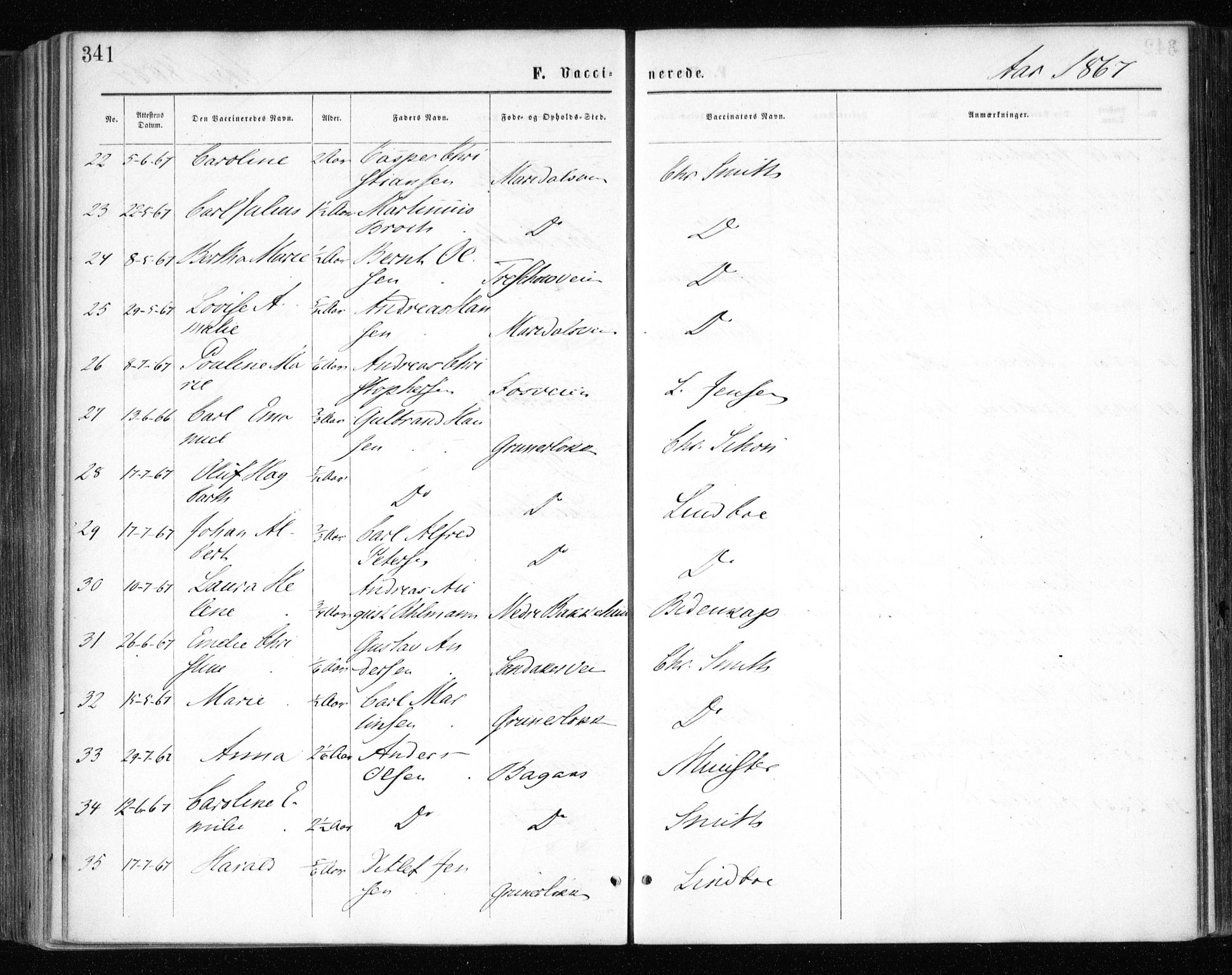 Gamle Aker prestekontor Kirkebøker, AV/SAO-A-10617a/F/L0003: Parish register (official) no. 3, 1865-1873, p. 341